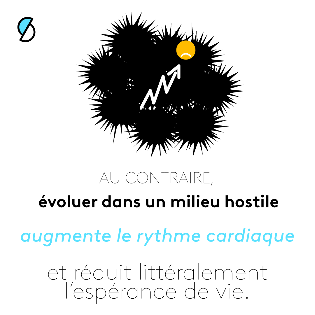 INFOG_GENTILLESSE_7.png