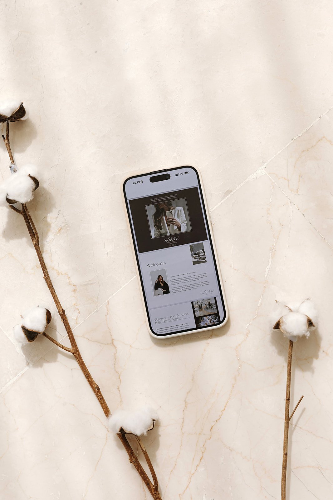 gestion de instagram