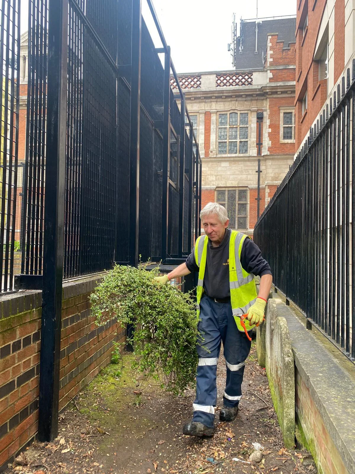 Continental Landscapes clearing around the ball court on behalf of Westminster Council to make way for the sand