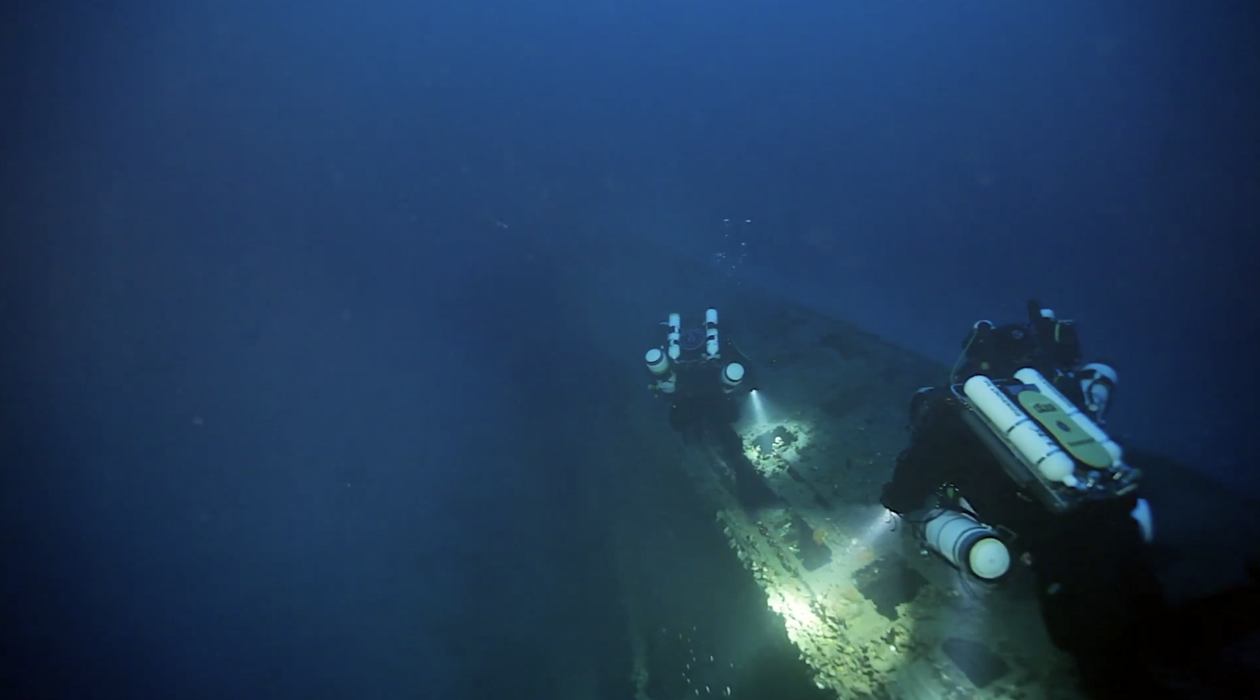 Protee french wargrave.