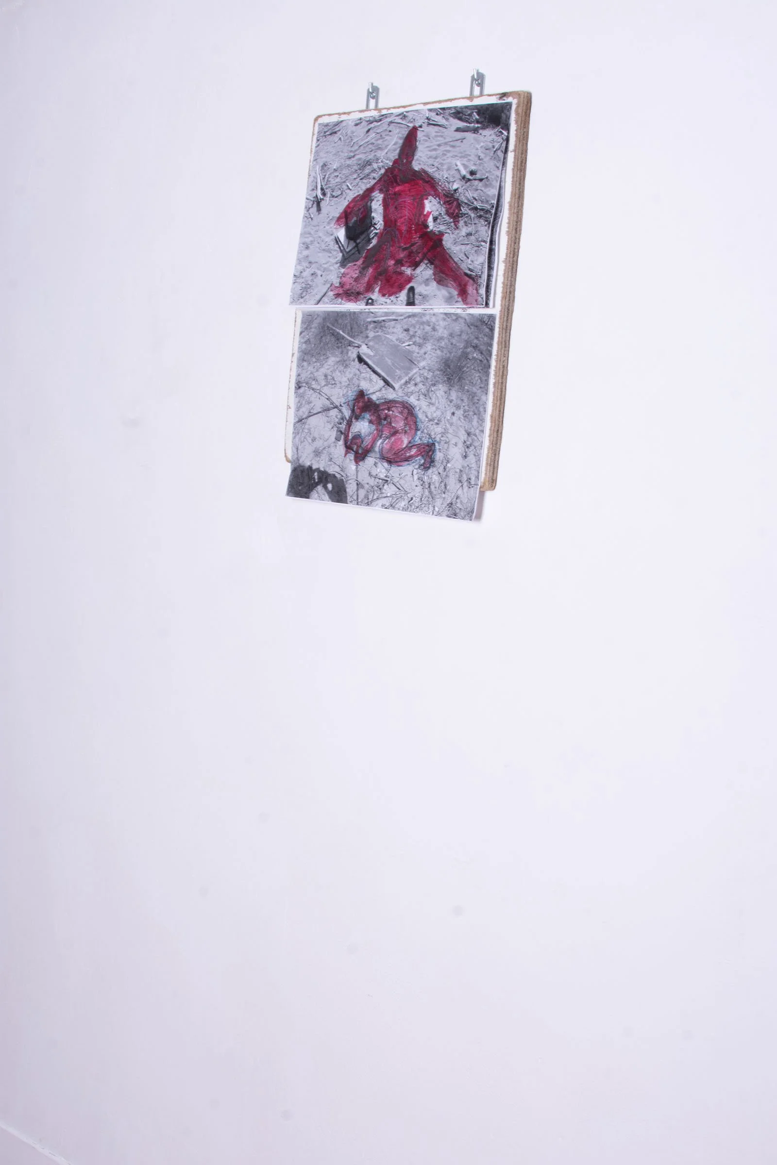 DSC_0232.jpg