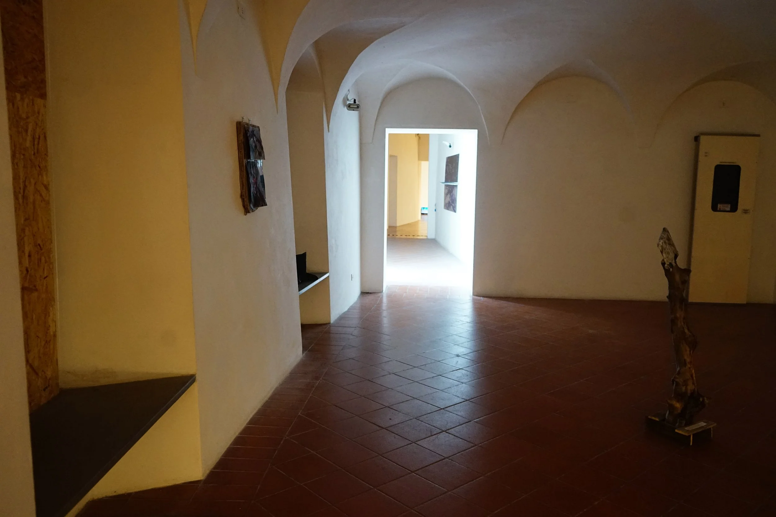 DSC06336.jpg