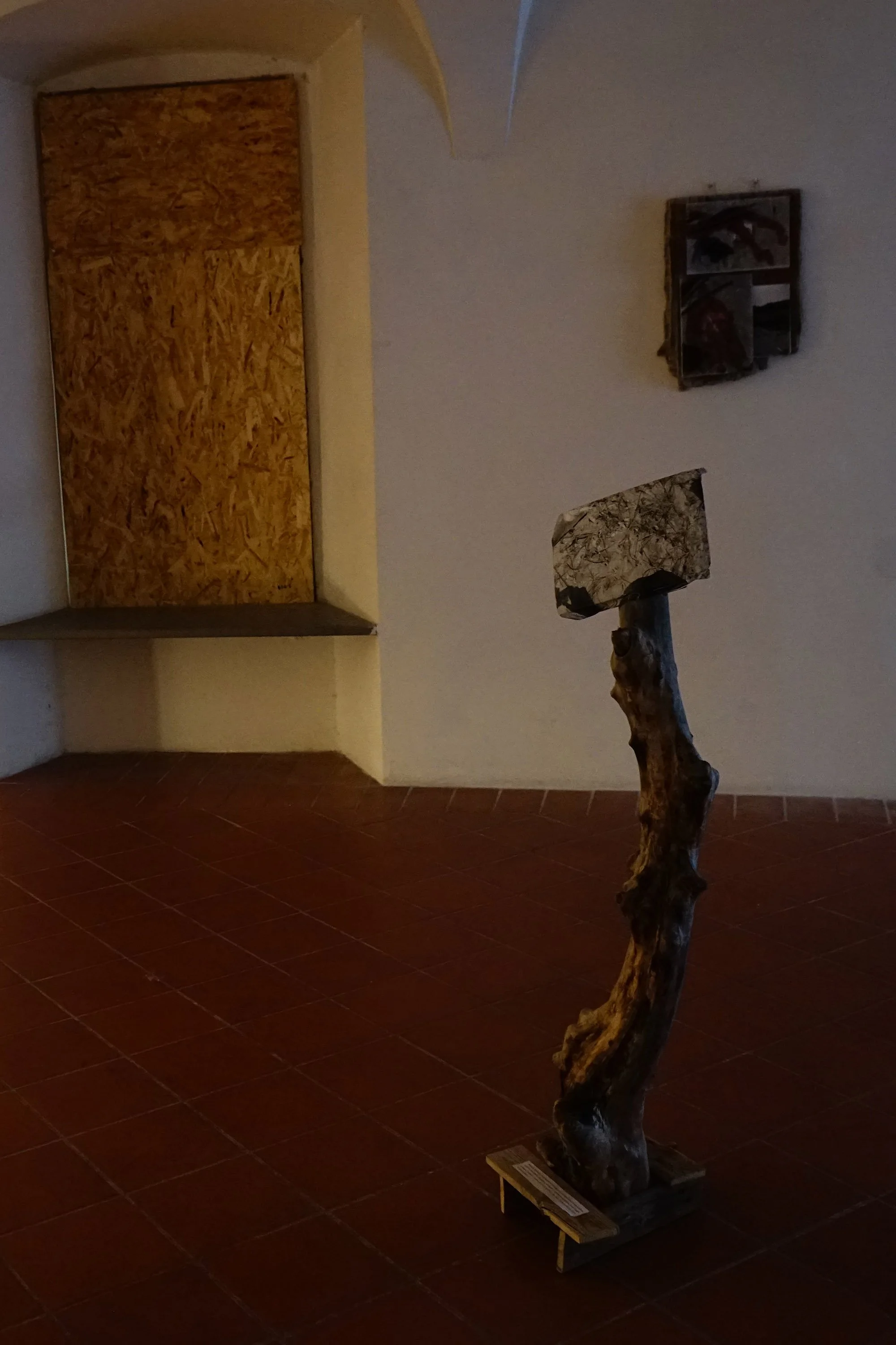 DSC06341.jpg