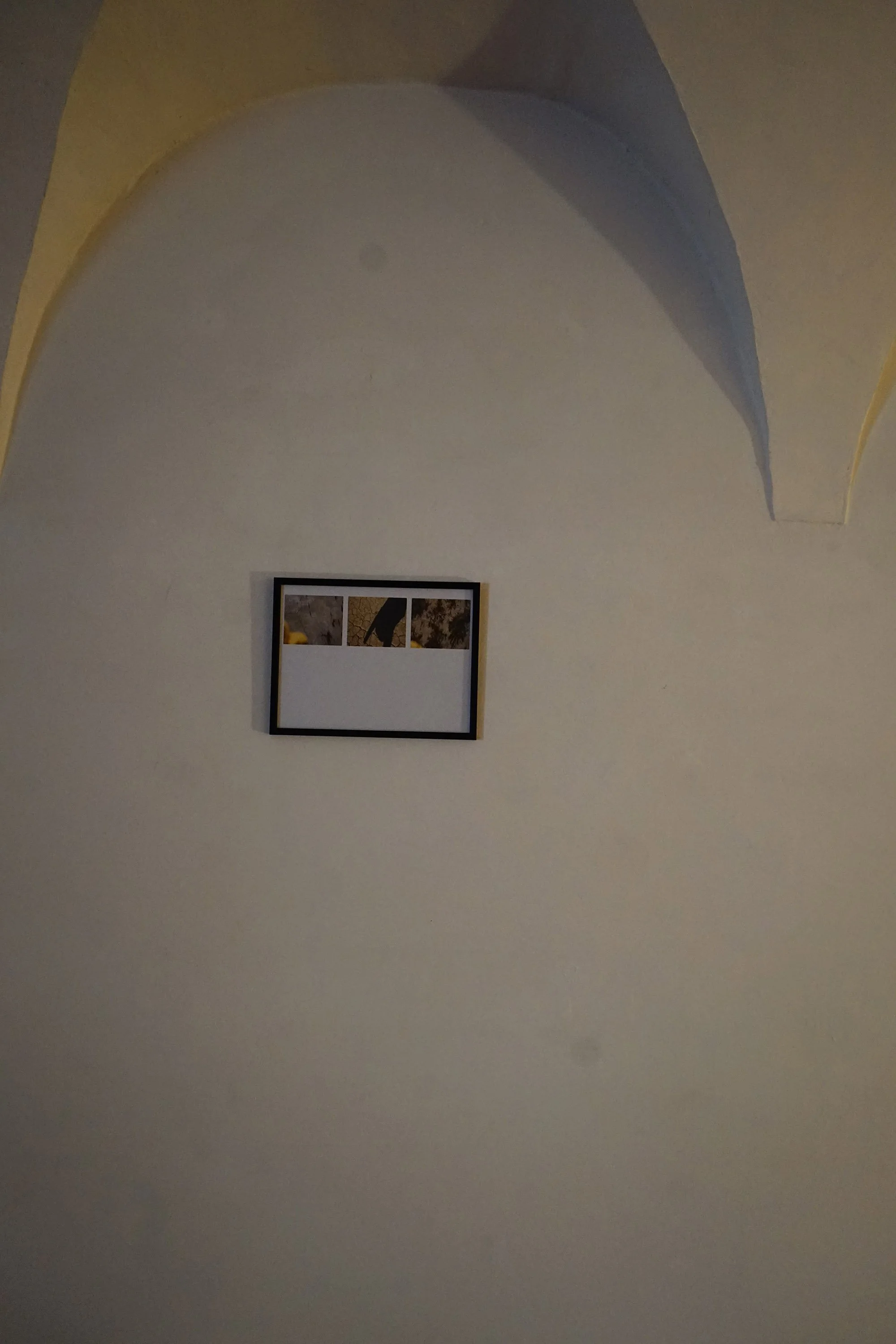 DSC06344.jpg