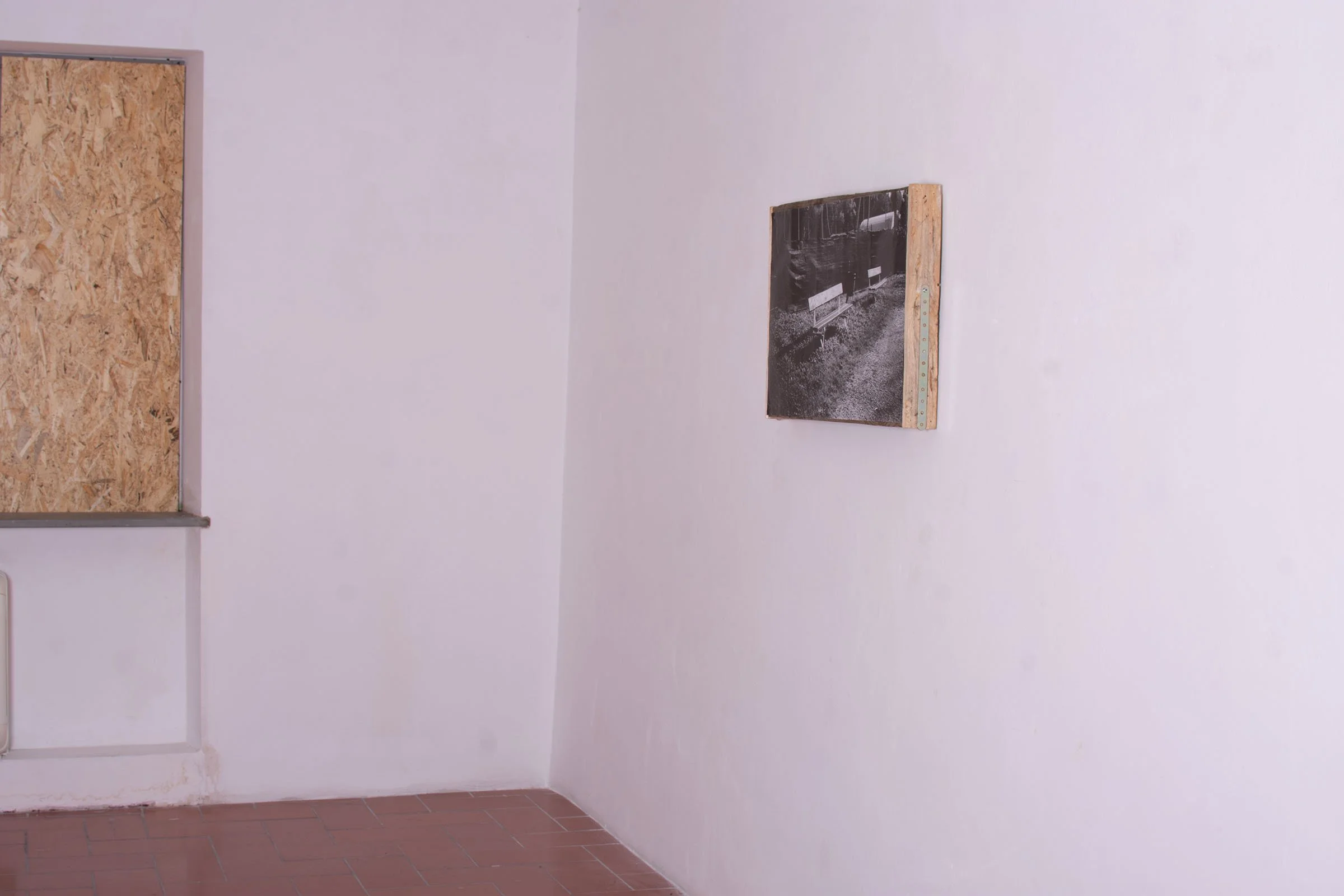 DSC_0154.jpg