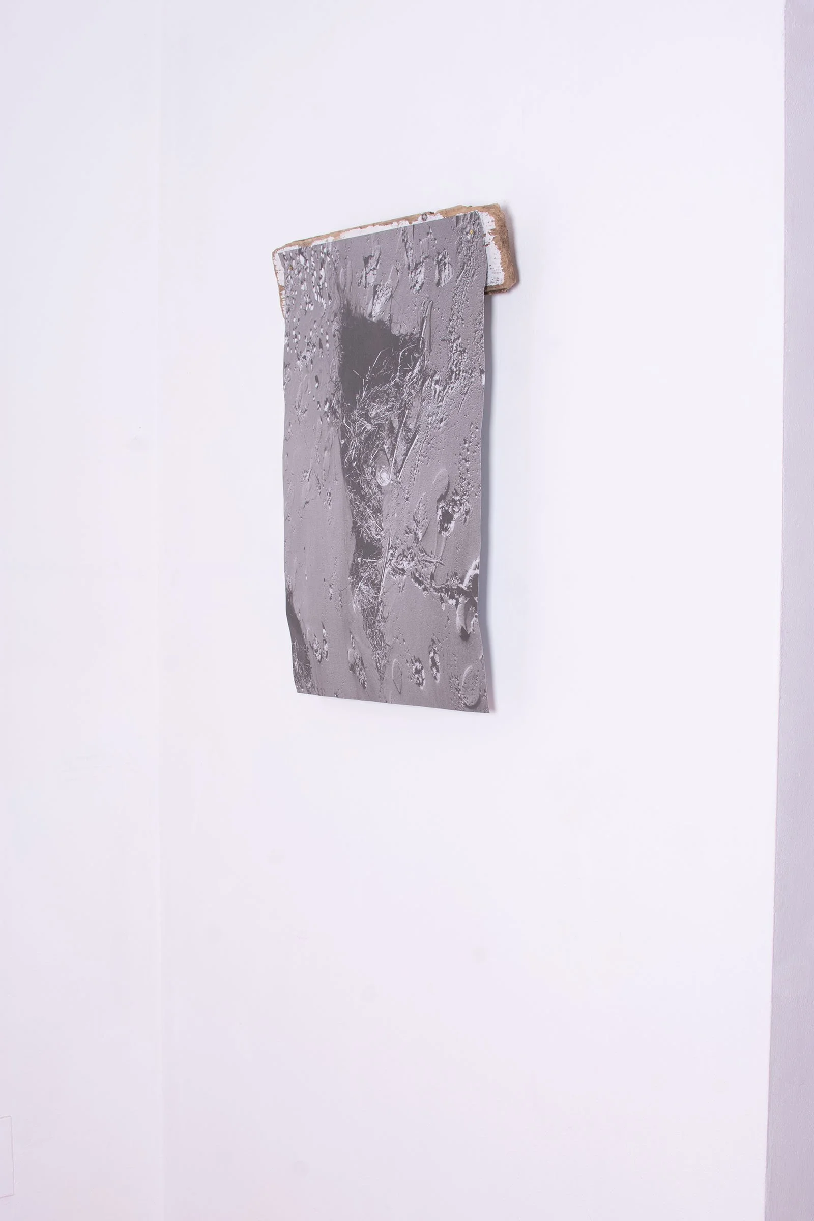 DSC_0152.jpg