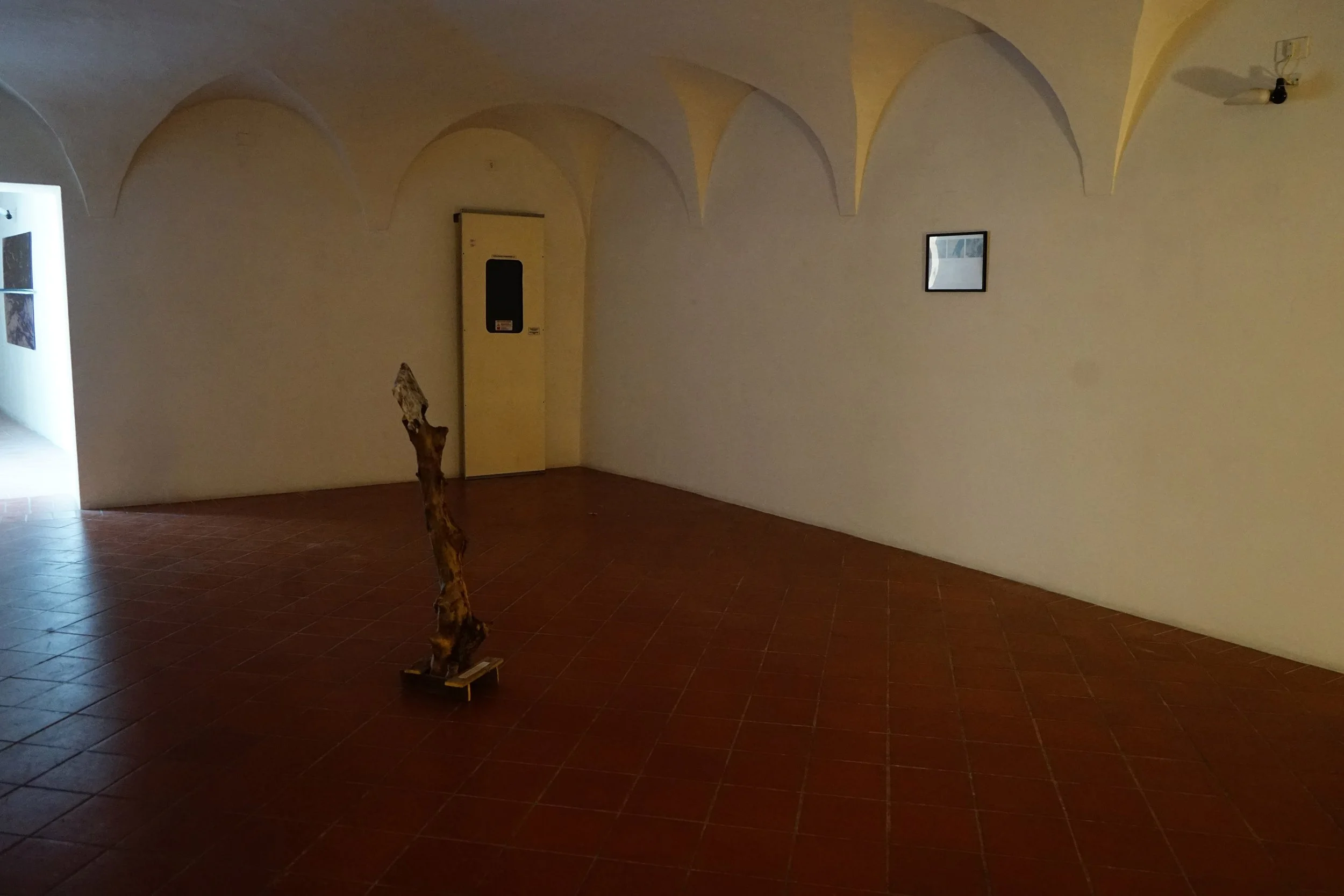 DSC06335.jpg