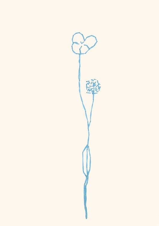 0005.jpg