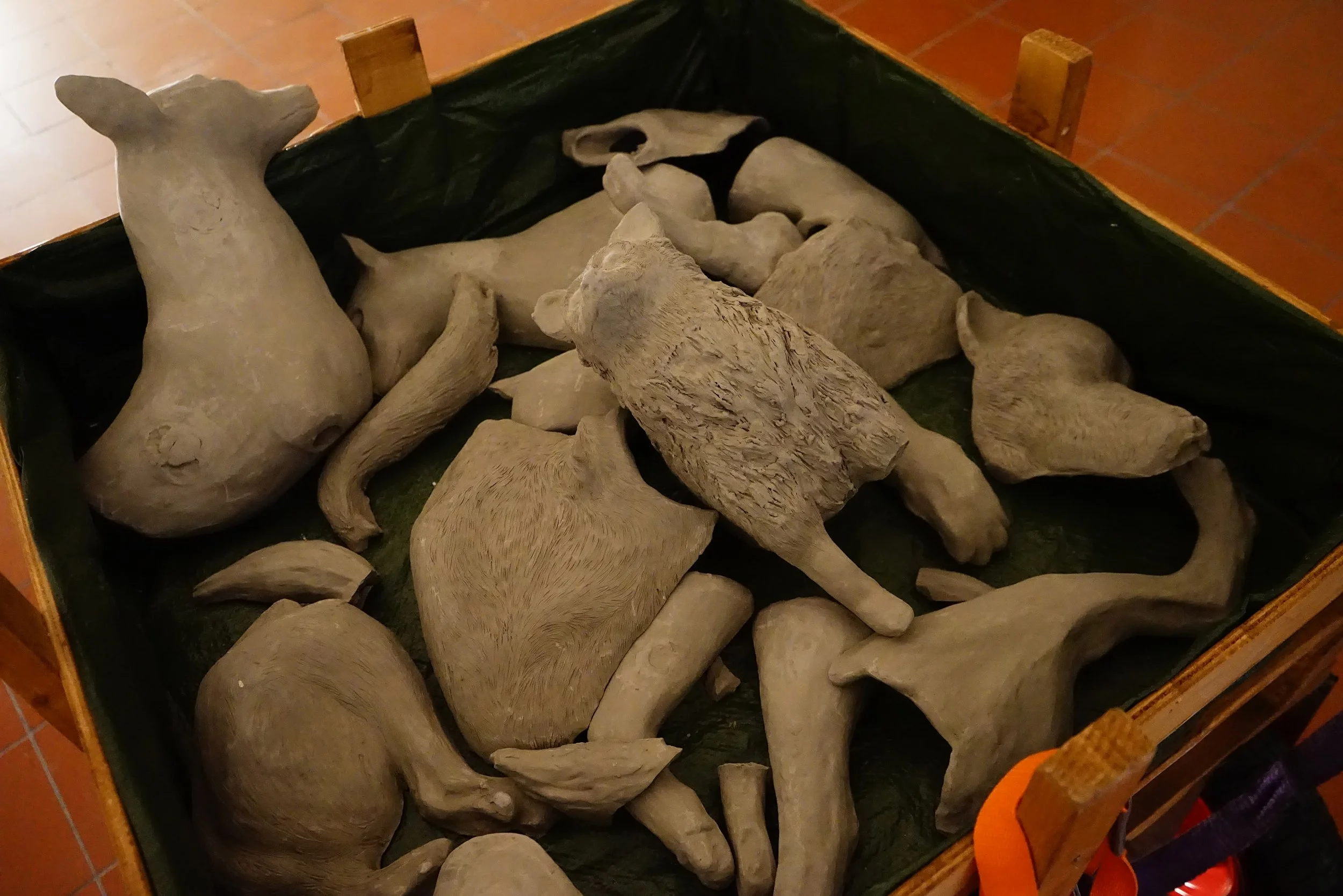 DSC06290.jpg