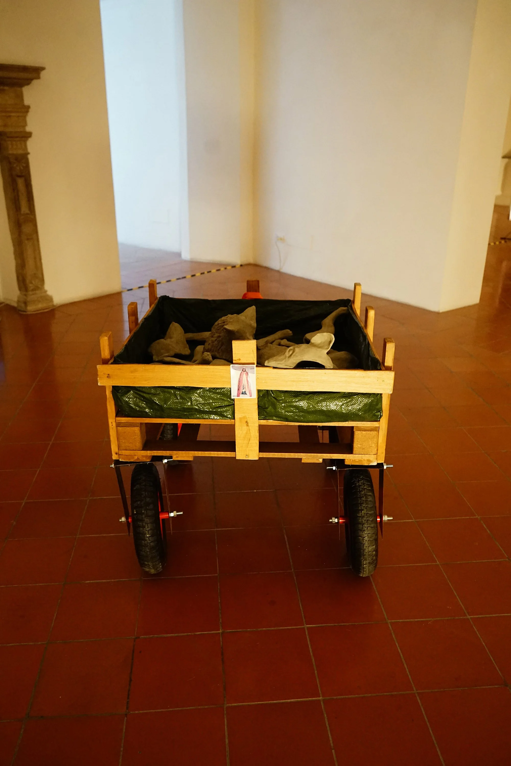 DSC06297.jpg