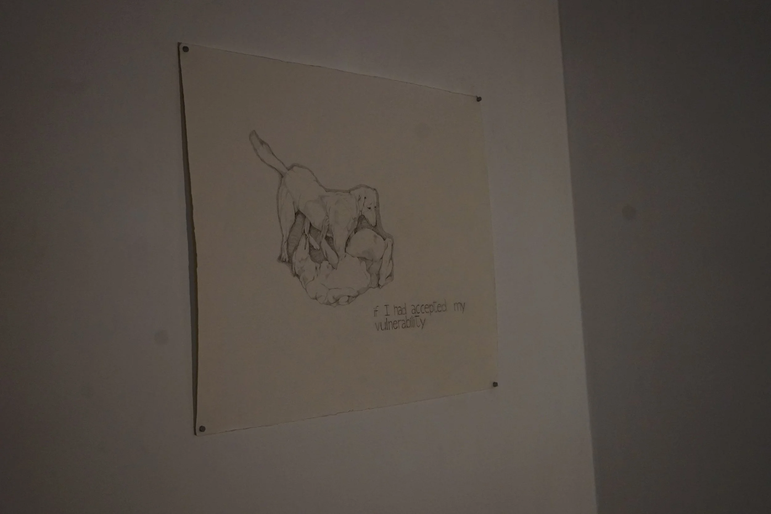 DSC06251.jpg