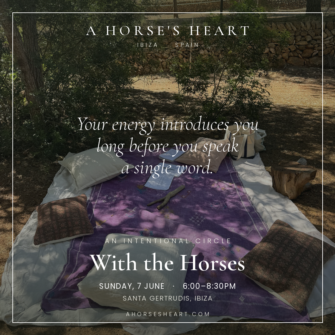 Evening Circle with the Horses, Ibiza, Spain - Sunday, June 7th 2026 from 6:00-8:30pm