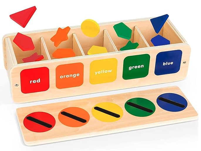 Shape and Color Sorting