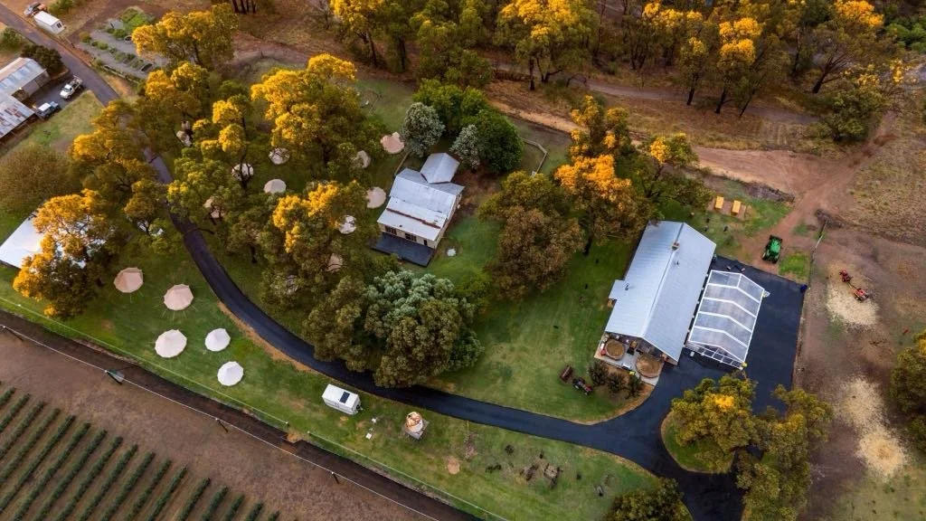 bd591d50-5ef6-48f5-a617-77483a7e7f2b.jfif