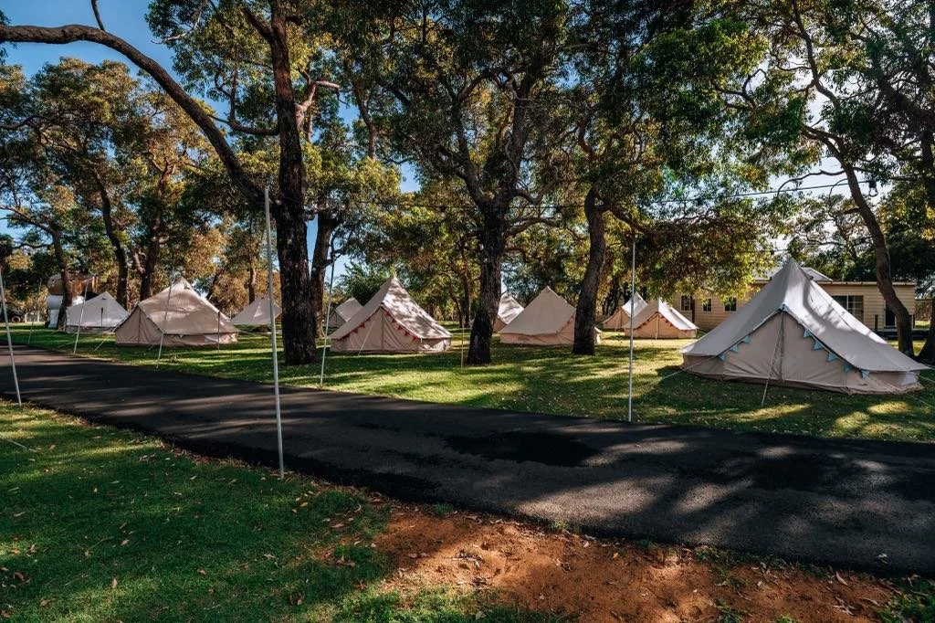 f67dcdde-dc73-498f-a2cf-10553f857576.jfif