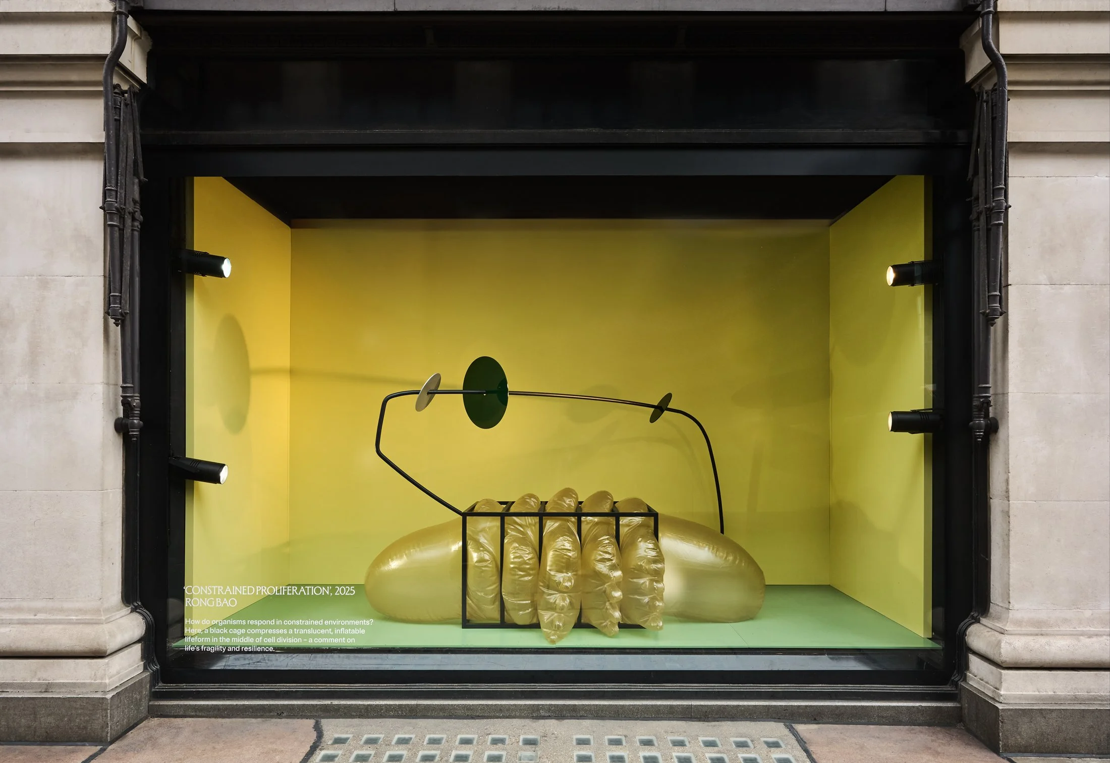 Selfridges Windows April 25_004.jpg