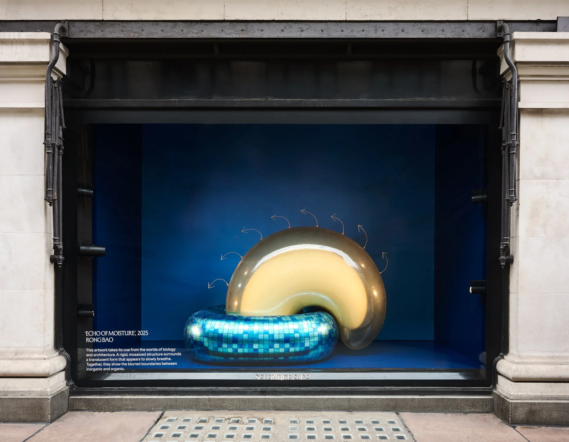 Selfridges Windows April 25_006.jpg