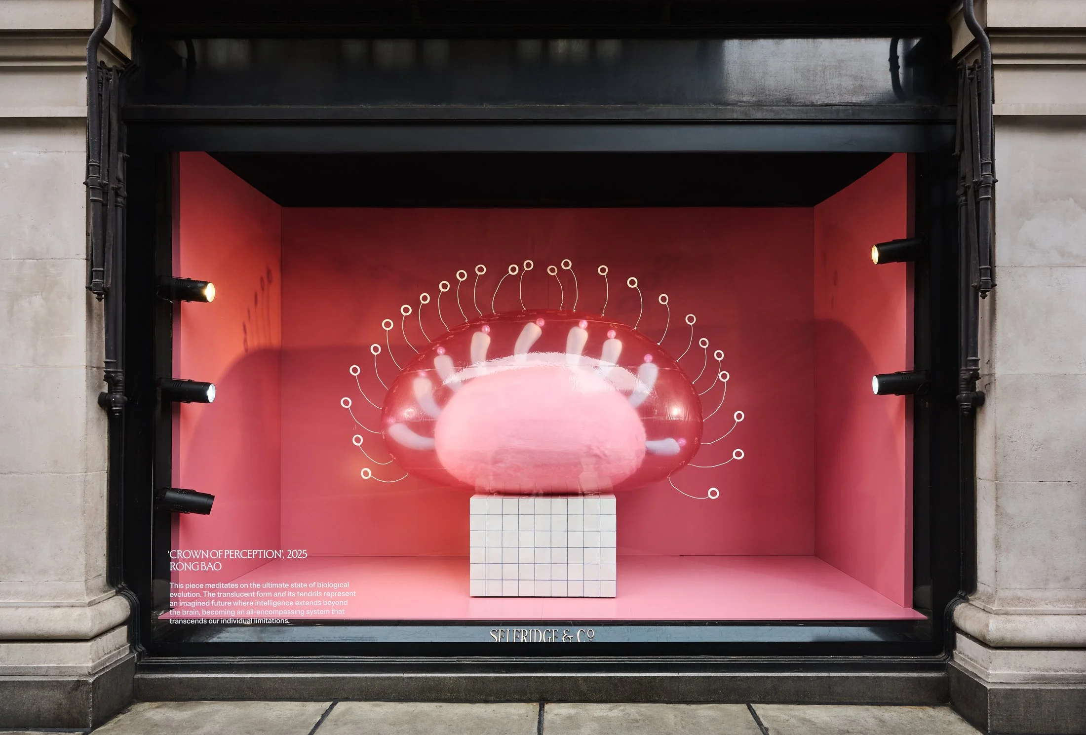 Selfridges Windows April 25_005.jpg