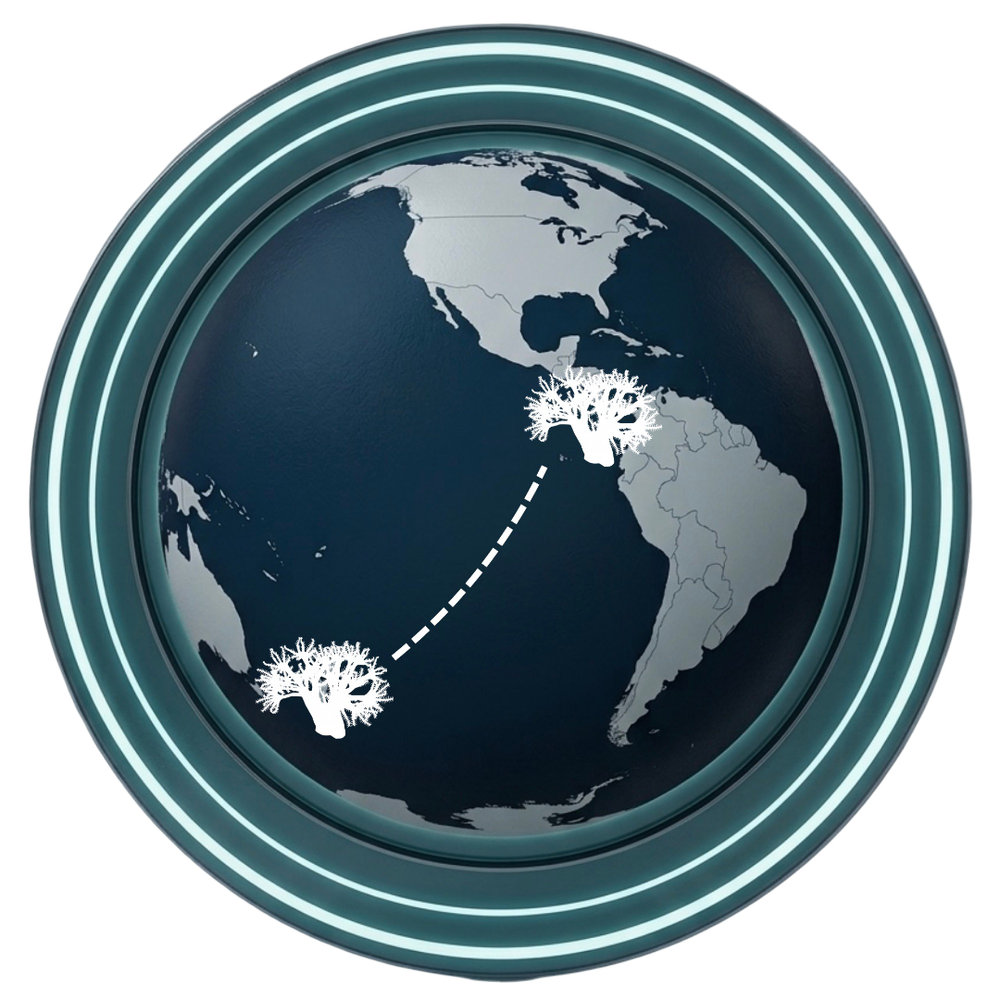 Geographic Map