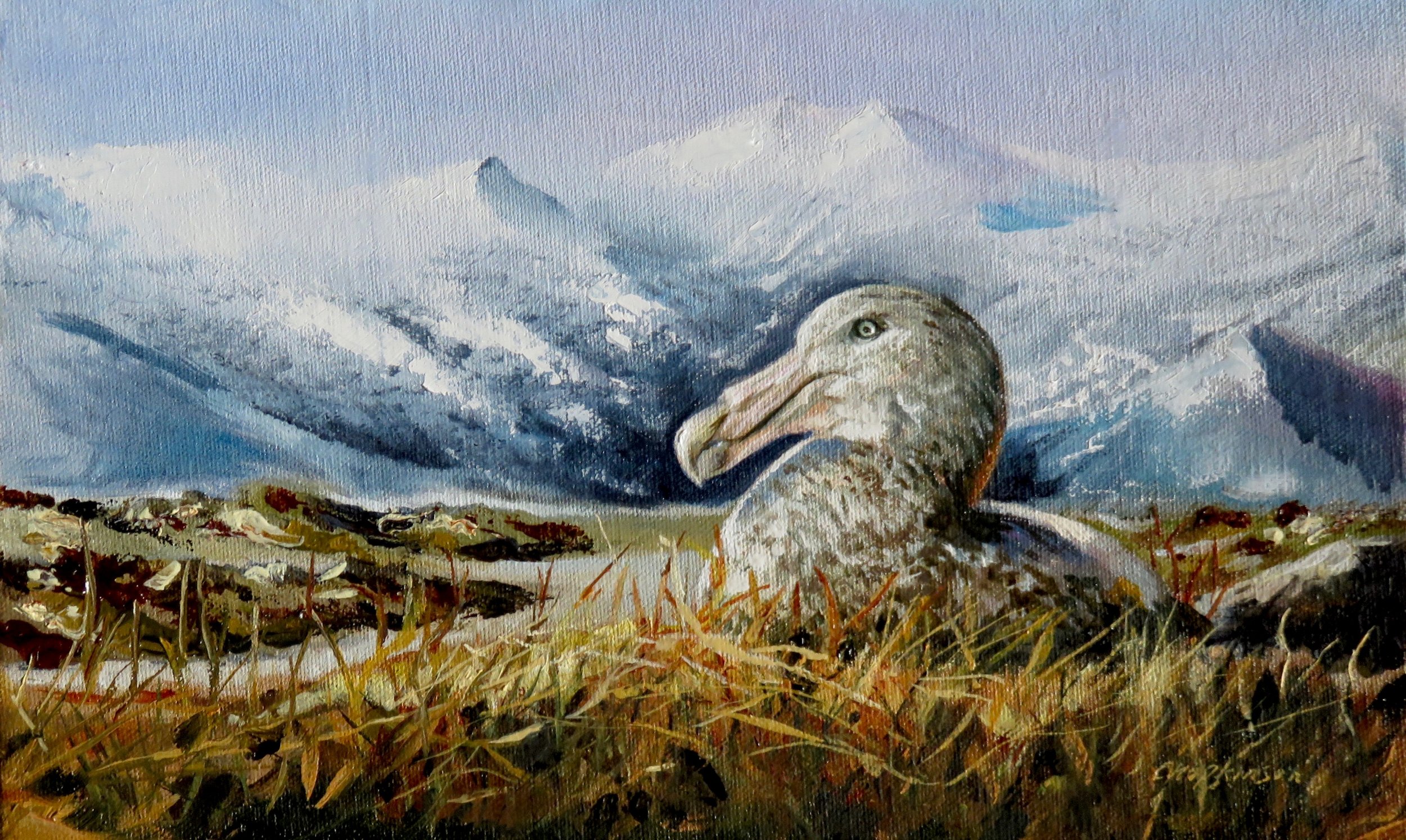 “These great  petrels were seen killing and devouring young gulls…” 