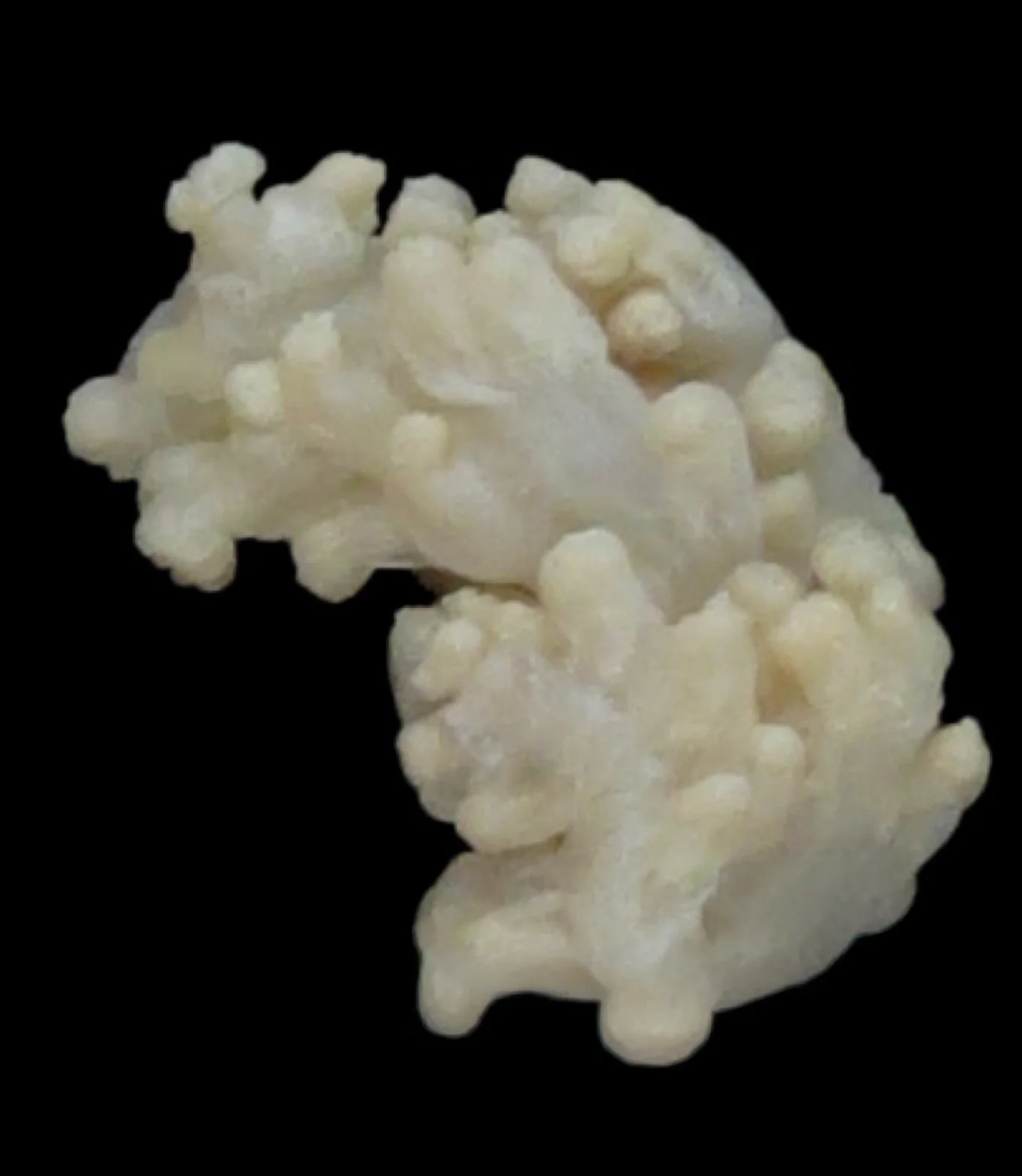 Tissue Sample Biopsy