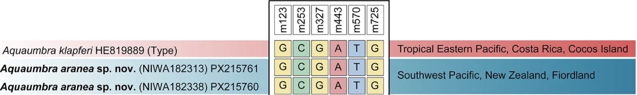 Specimen Header Image