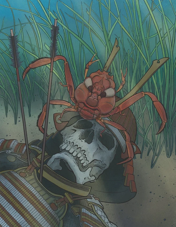 Sameri Crab Samurai Crab — Curious Species