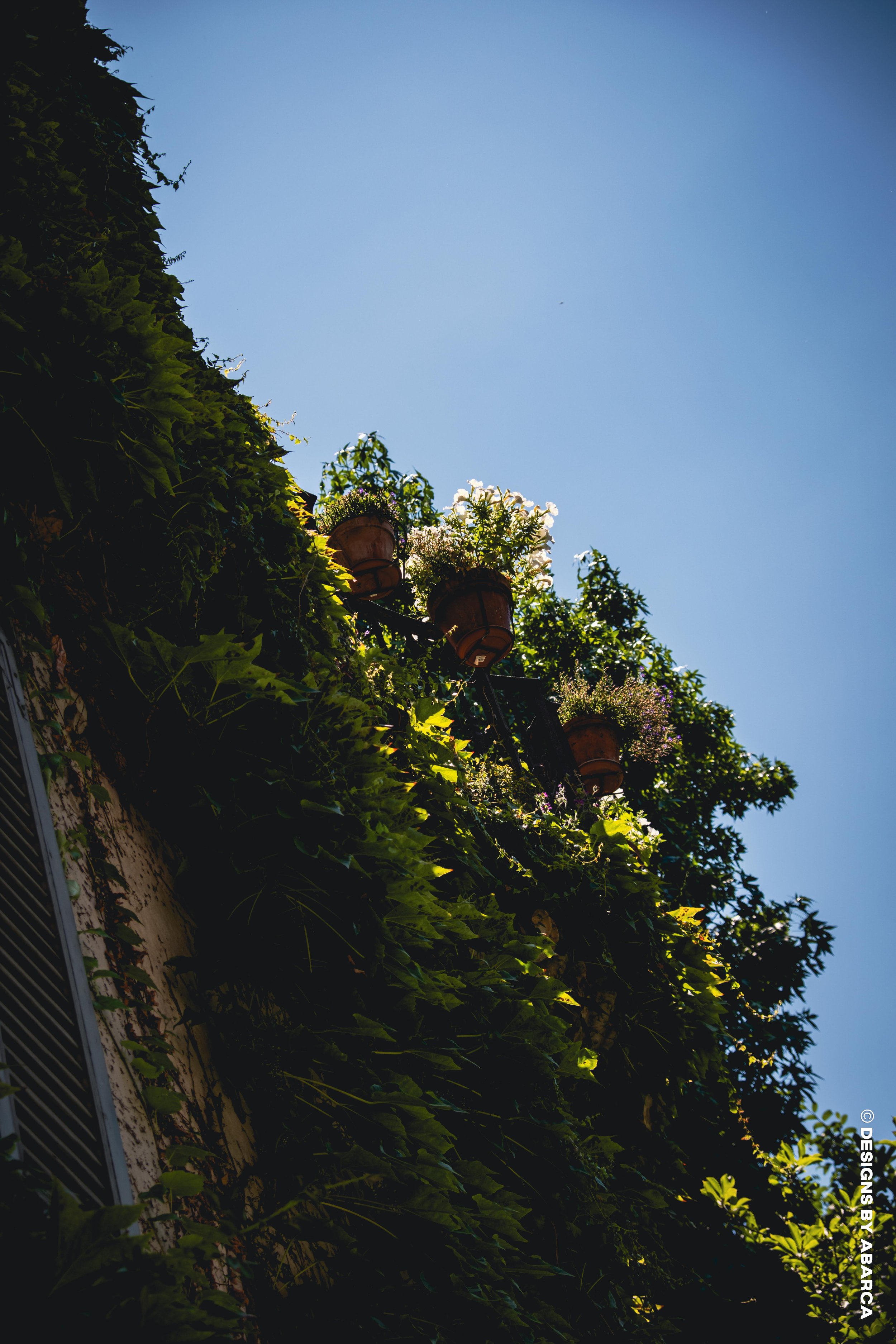 DaVinci's Garden-50.jpg