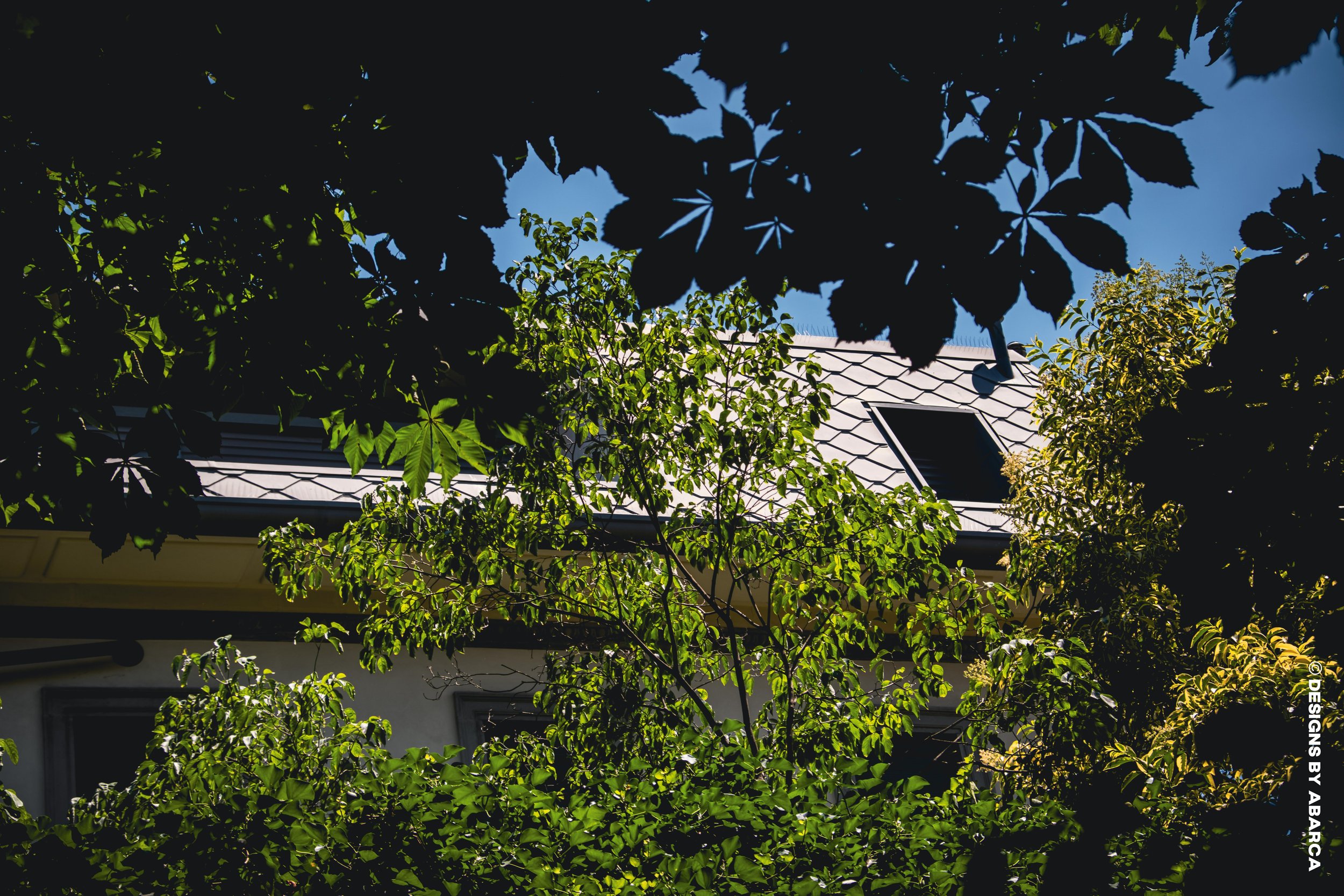 DaVinci's Garden-52.jpg