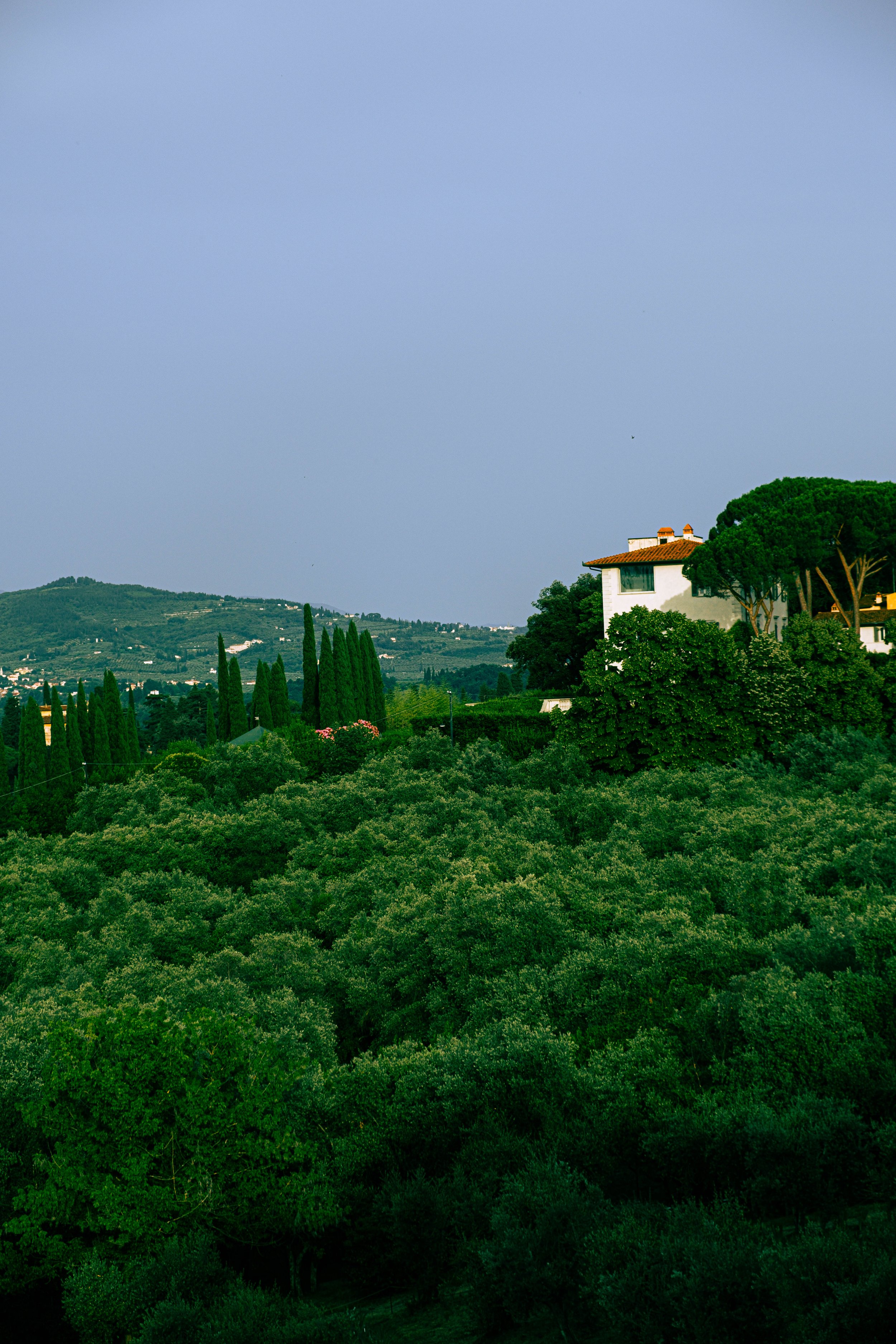 Florence - A Day's Walk-68.jpg