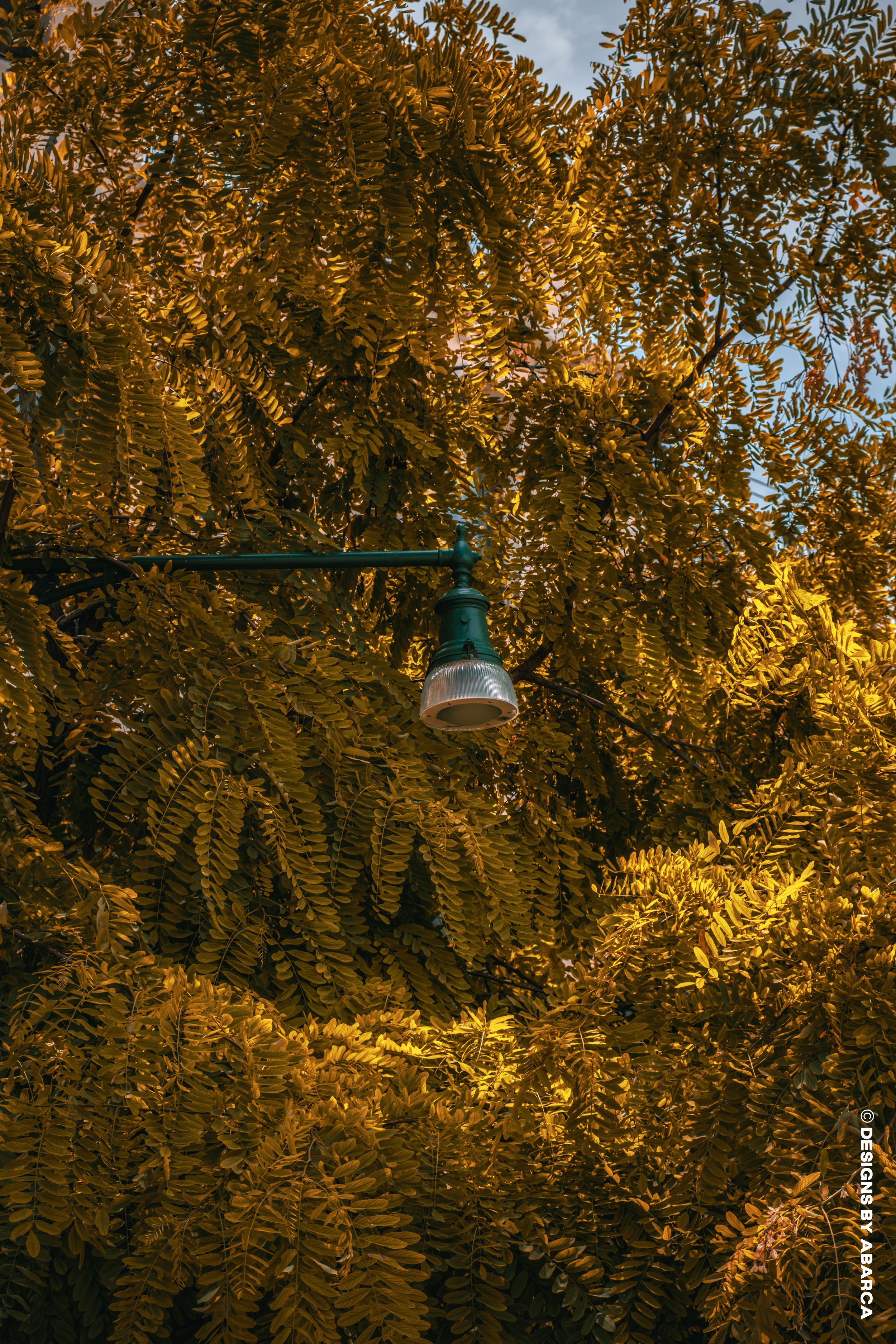 Day N Night in Venice-04.jpg