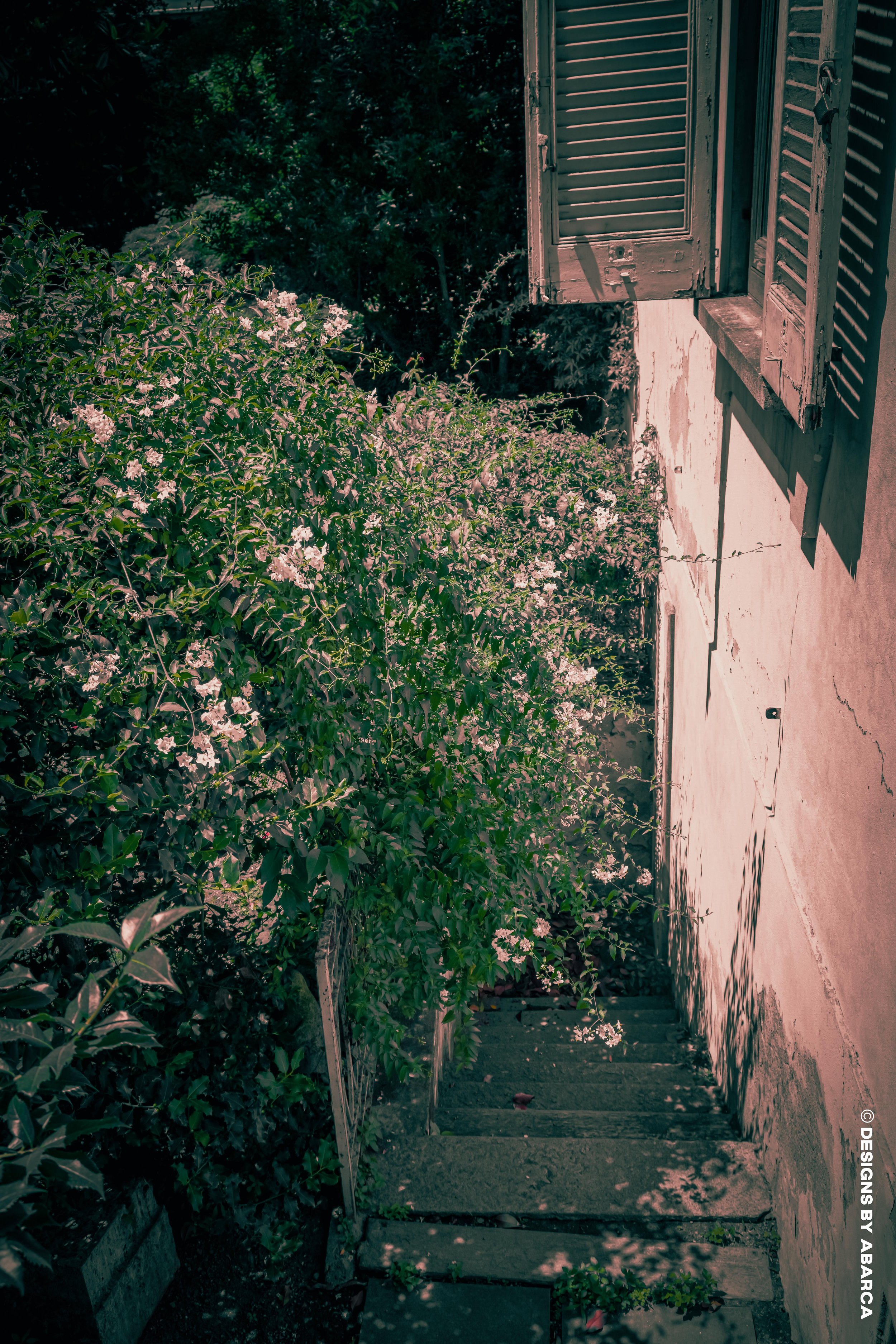 DaVinci's Garden-49.jpg