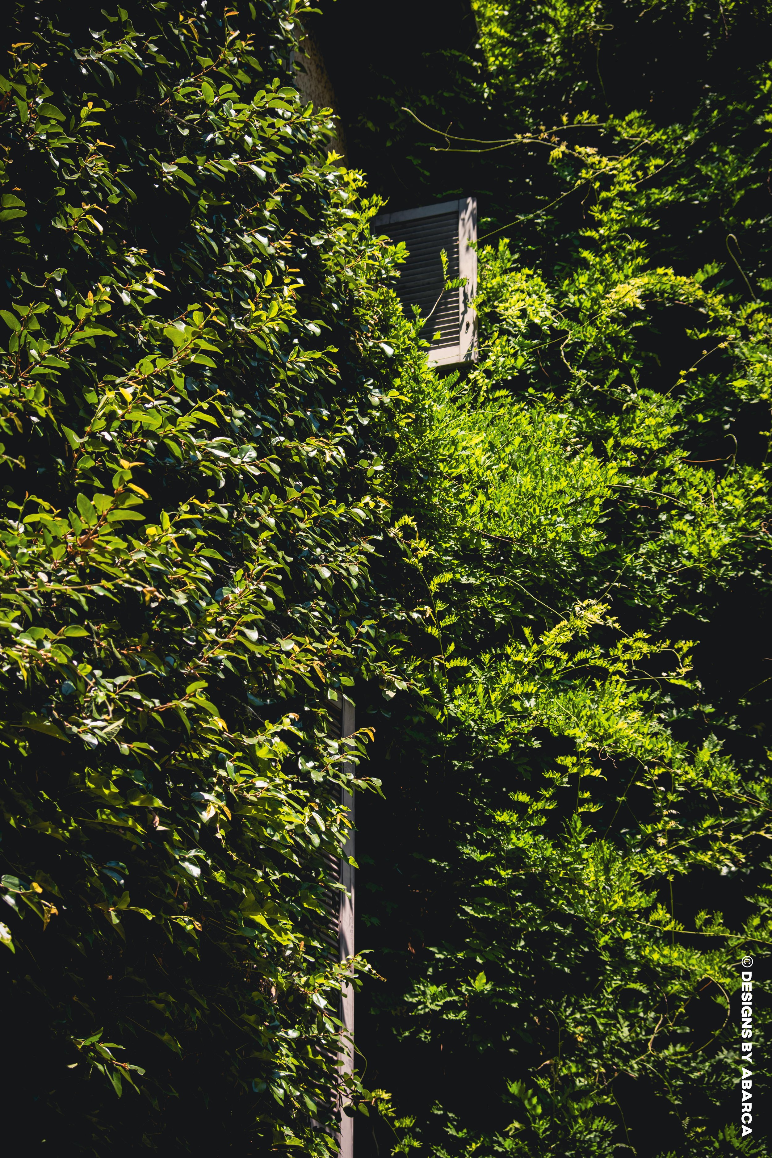 DaVinci's Garden-09.jpg