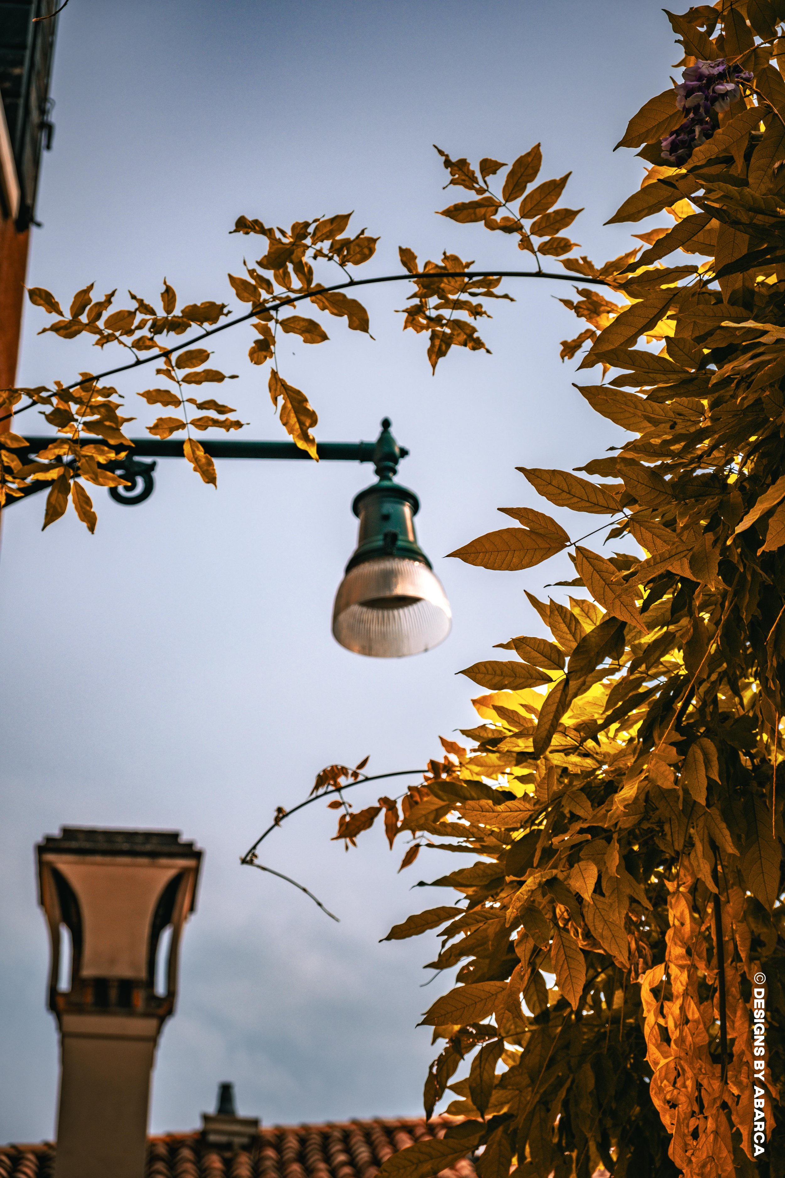 Day N Night in Venice-25.jpg