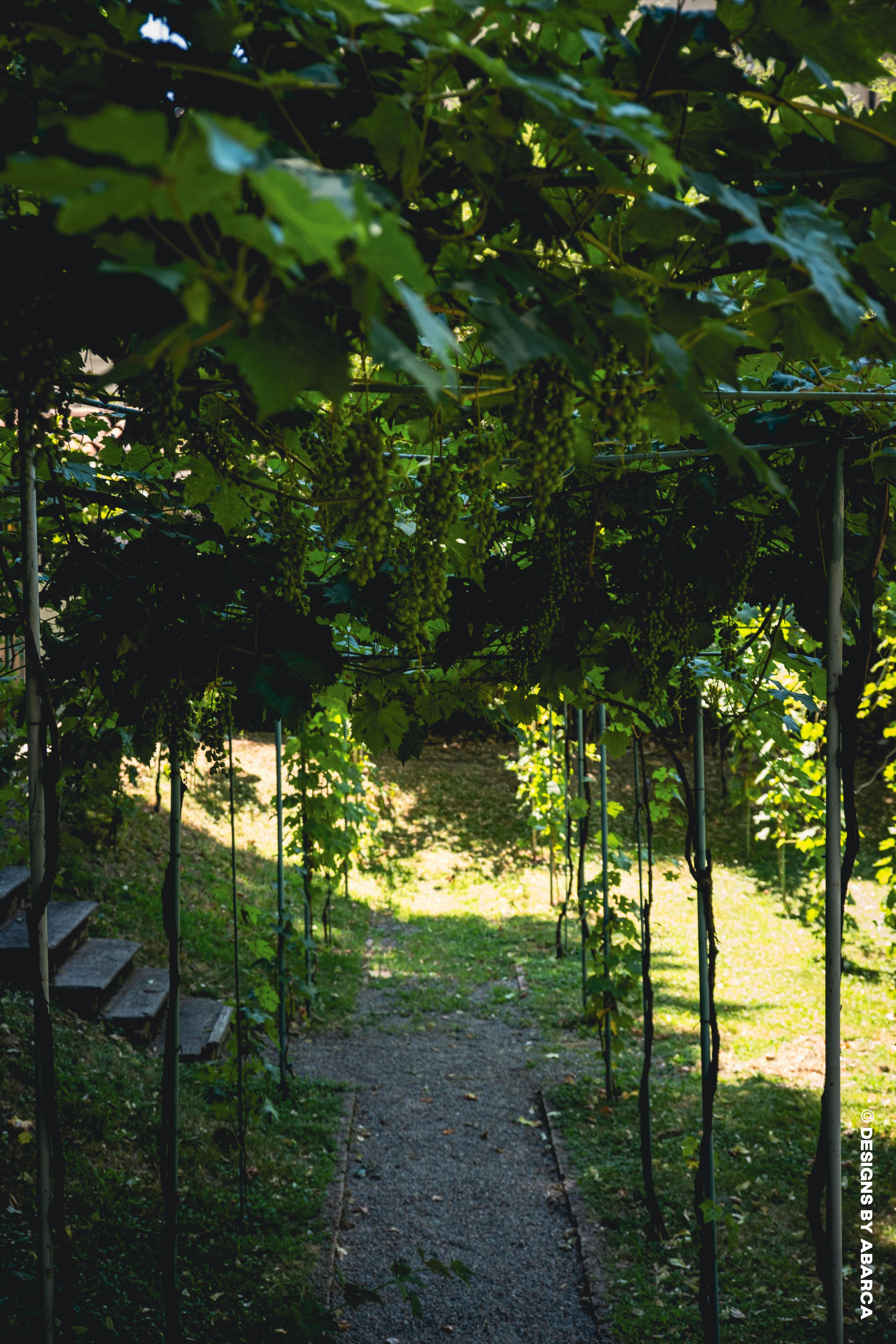 DaVinci's Garden-37.jpg