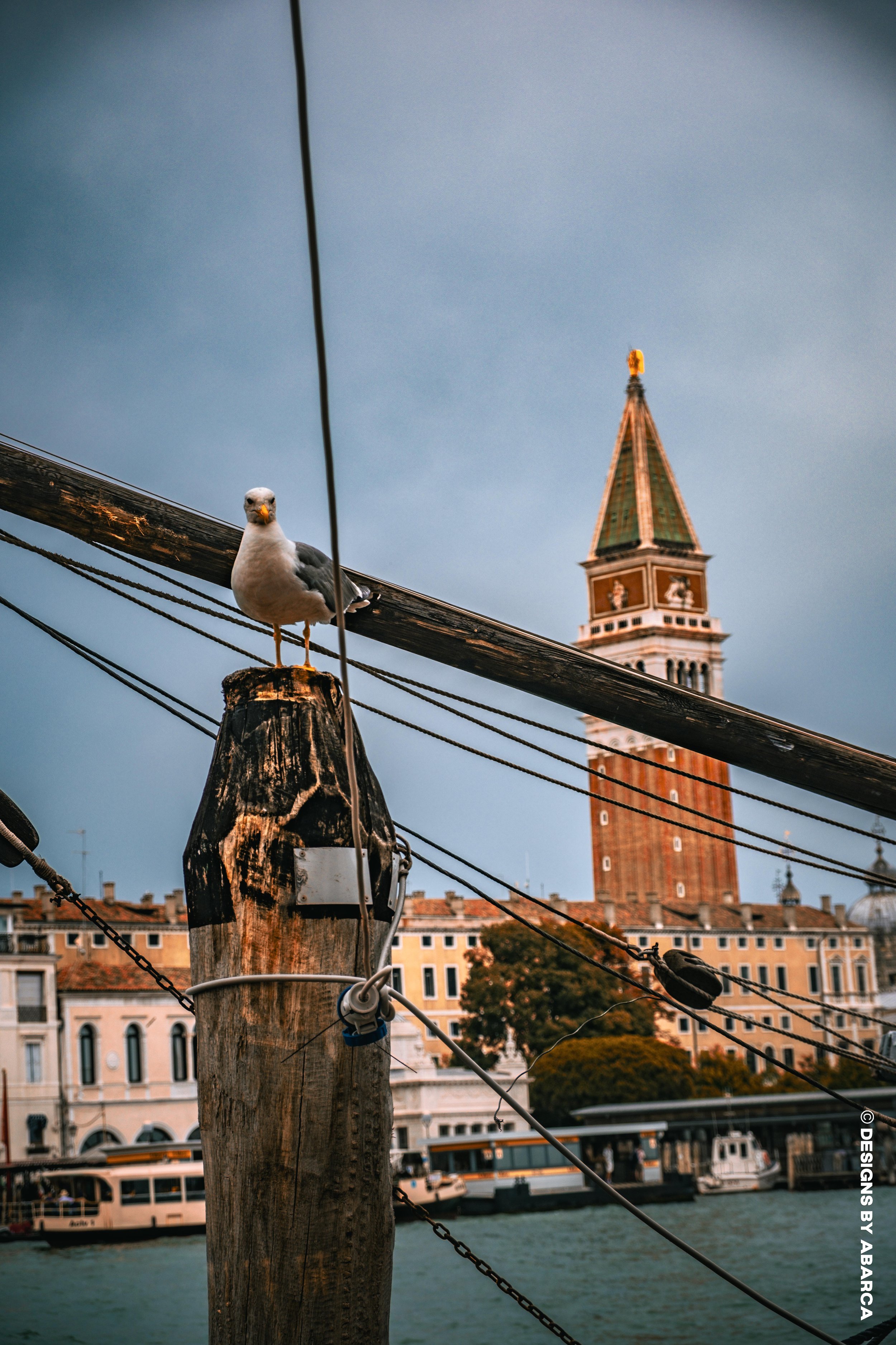 Day N Night in Venice-18.jpg