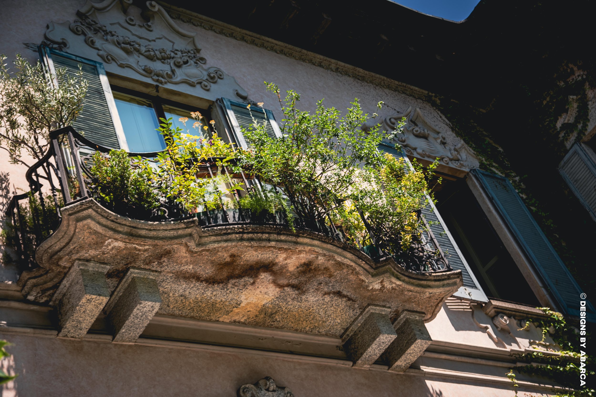 DaVinci's Garden-44.jpg