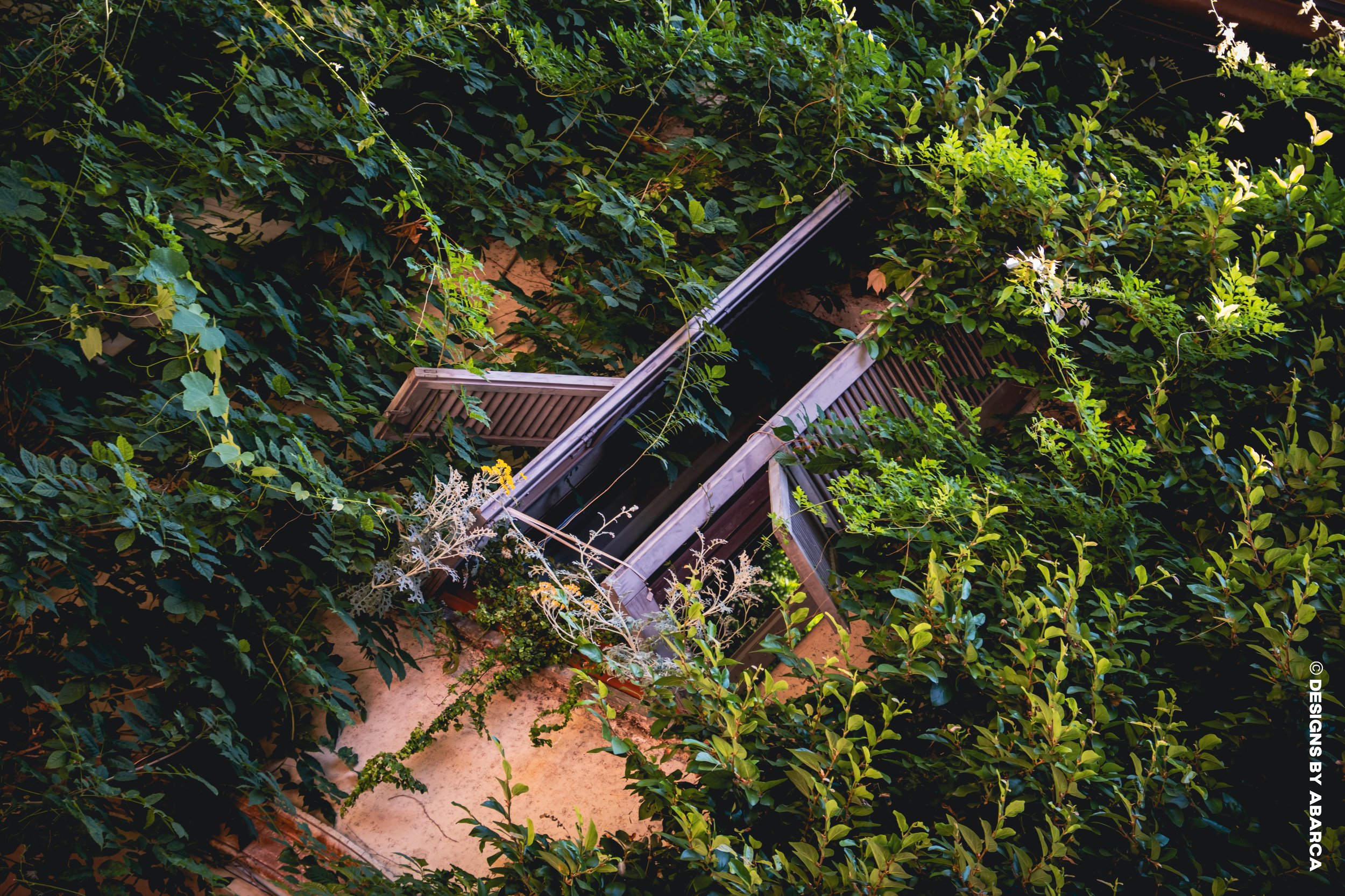 DaVinci's Garden-11.jpg