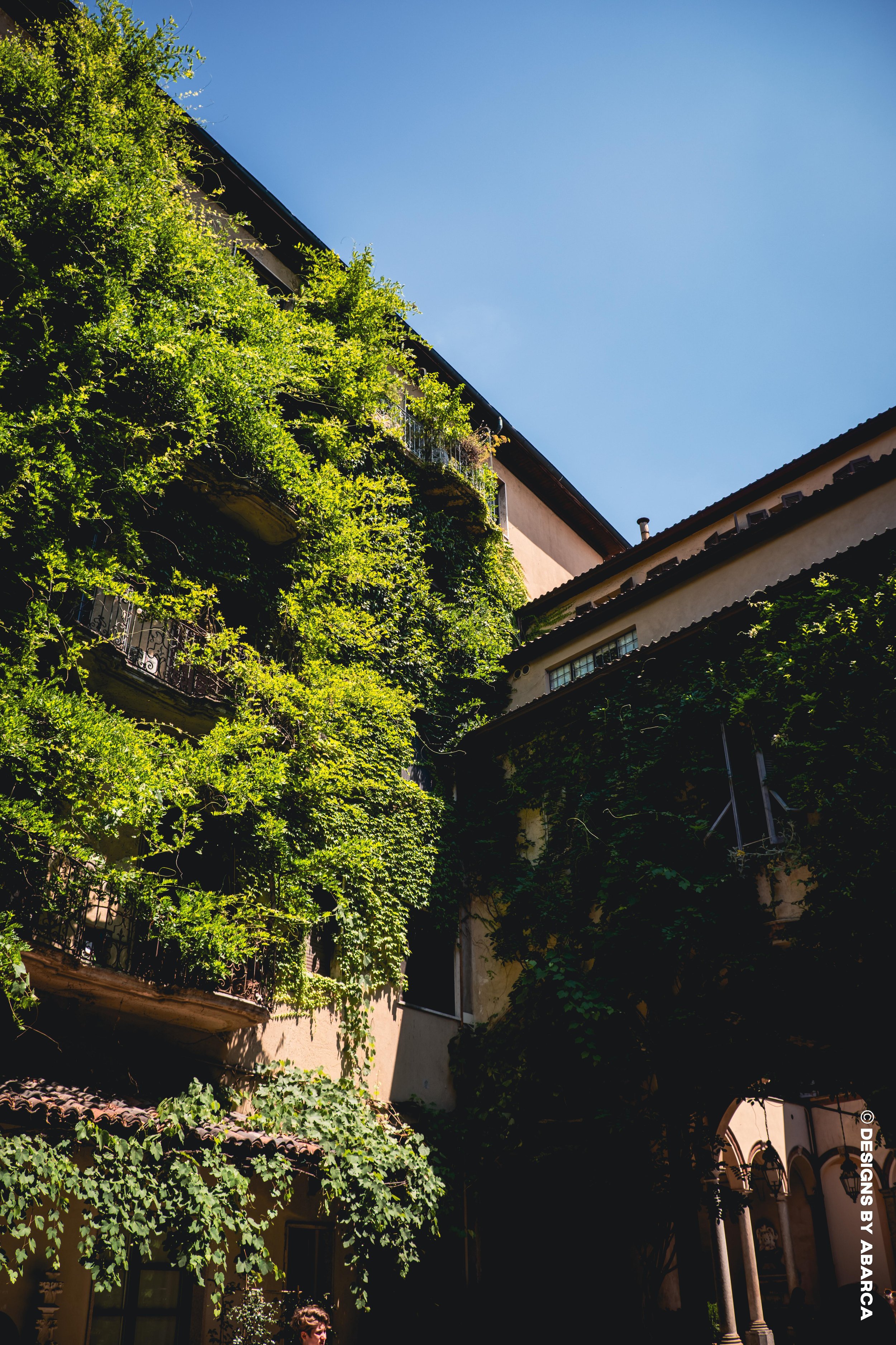DaVinci's Garden-05.jpg