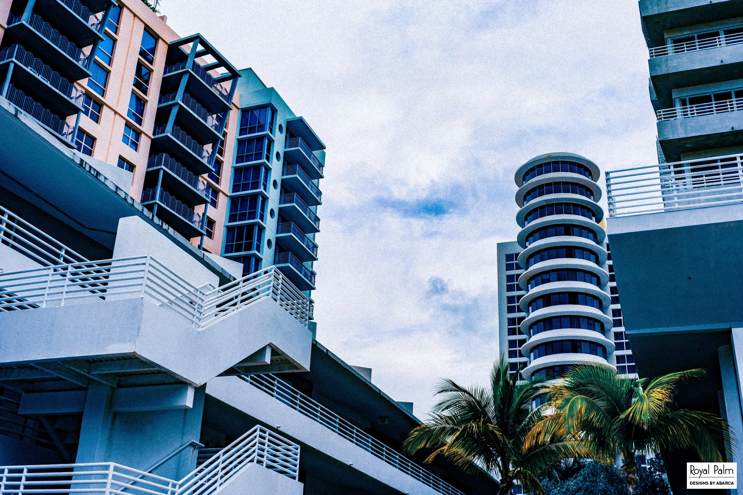 Royal Palm -37.jpg