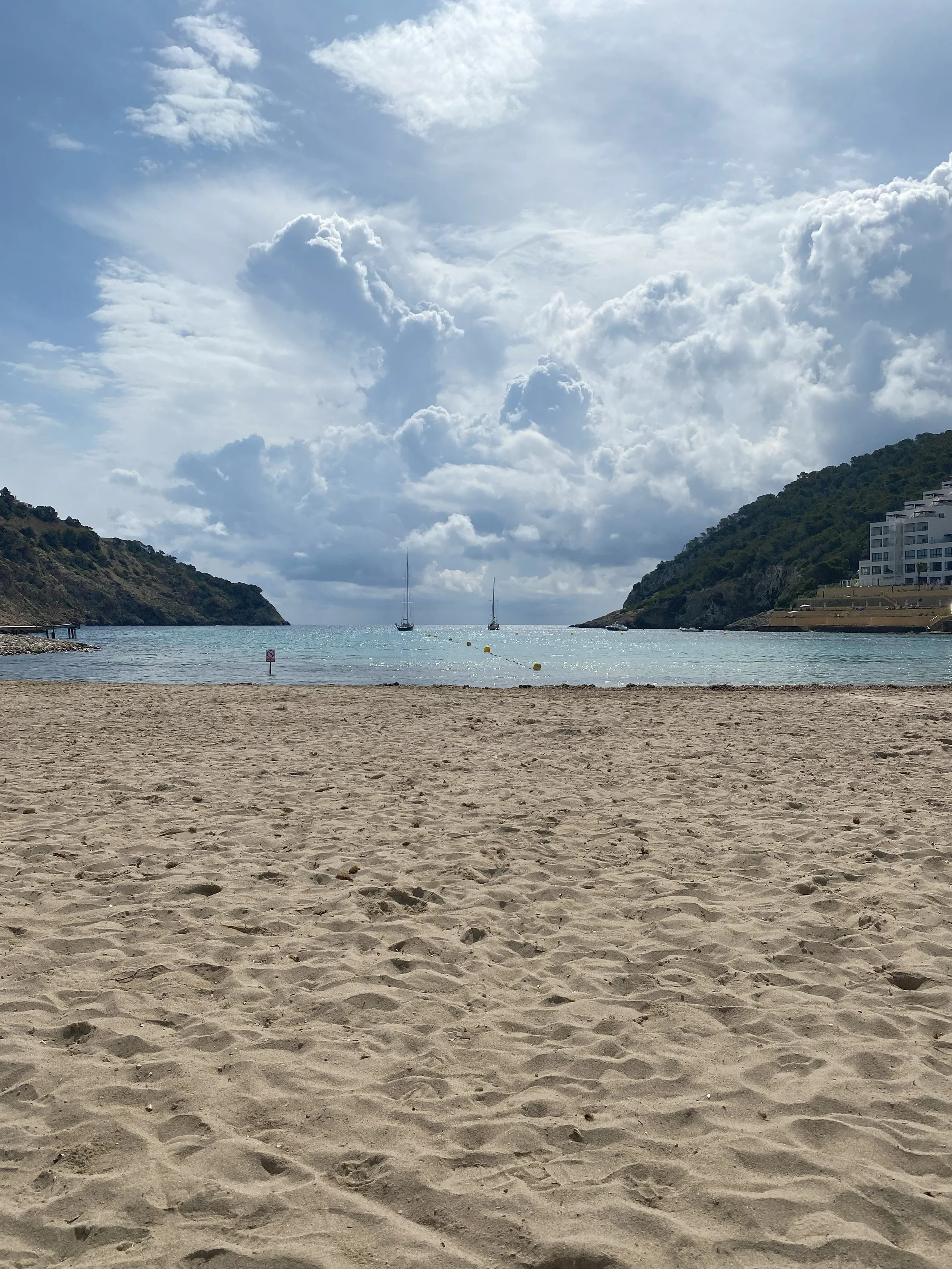 IMG_6222.jpeg