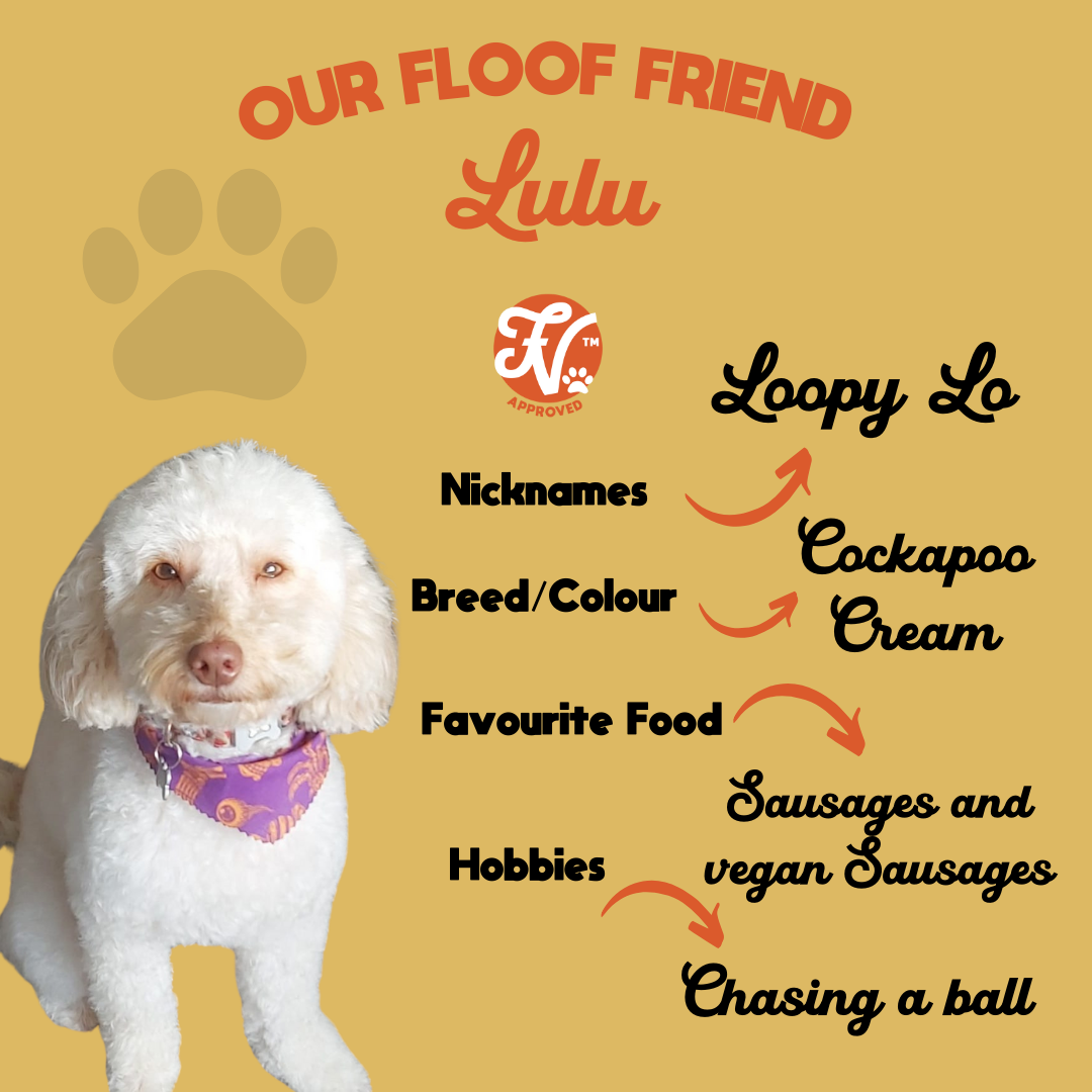 Lulu.png