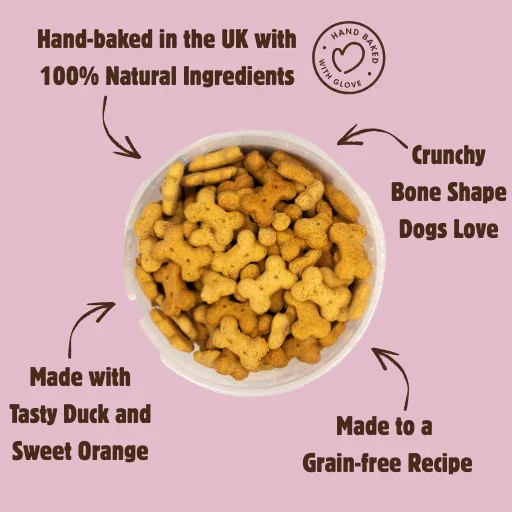 Duck_Orange_2.webp