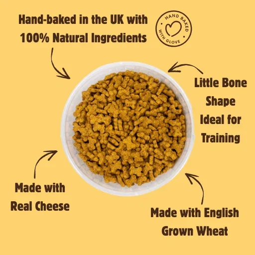 Cheese_Little_Bones_2.webp