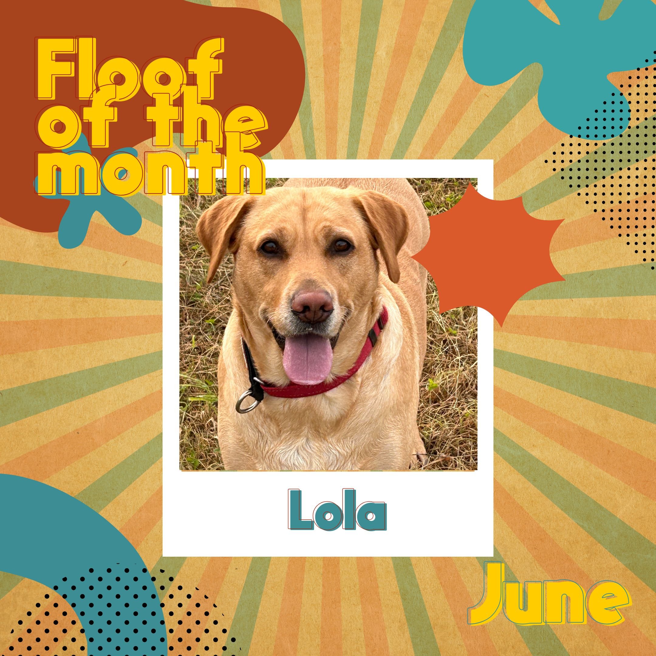 Lola - FOM.jpg
