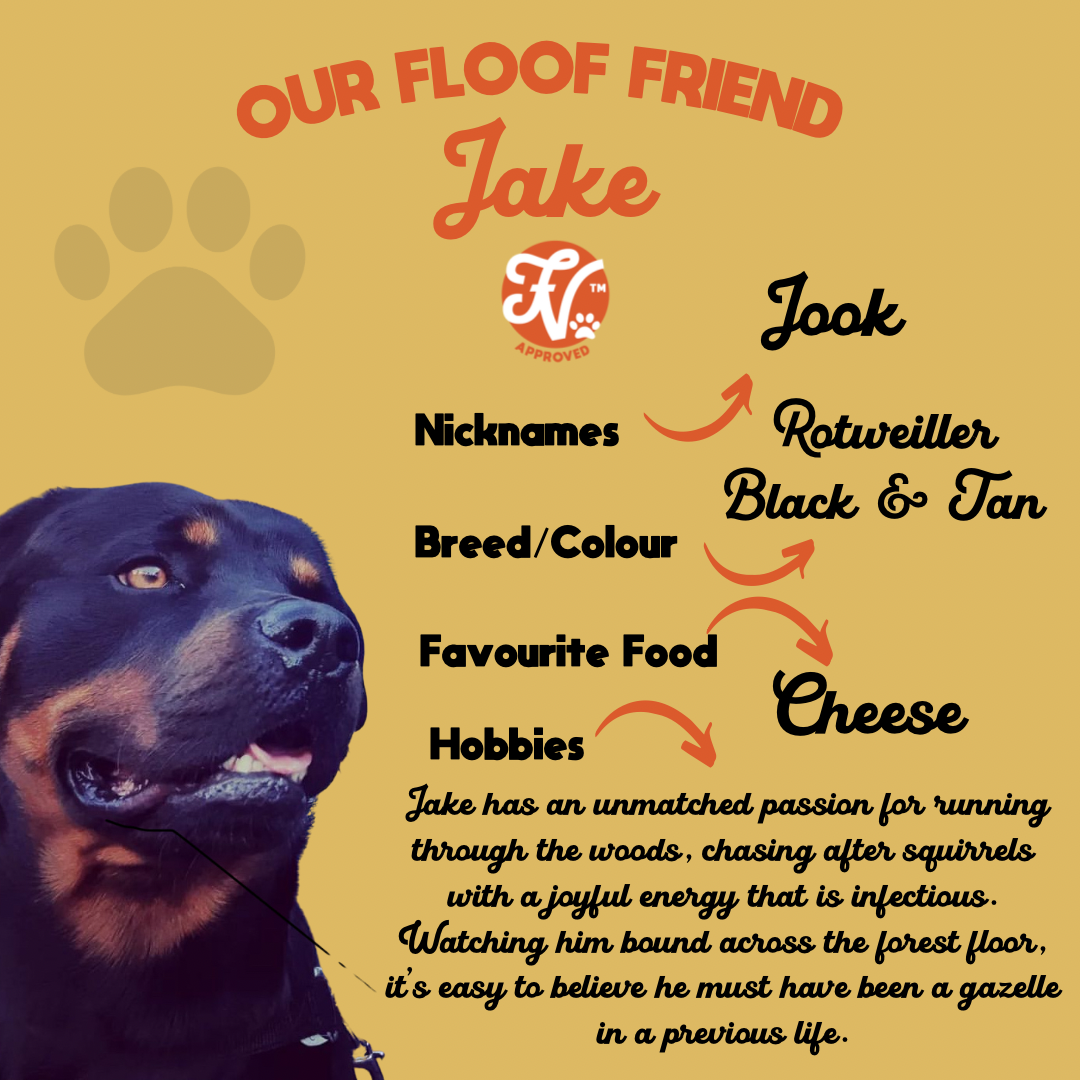 Profile of a Rottweiler dog named Jake with information including nickname (Jook), breed/color (Rottweiler, Black & Tan), favorite food (Cheese), and hobbies (running through woods, chasing squirrels). Background includes paw print graphic and logo i