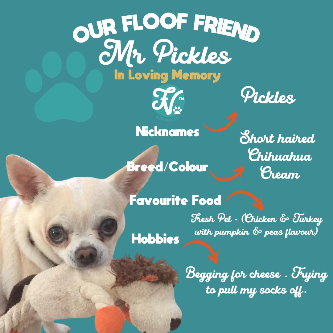 Mr Pickles.png