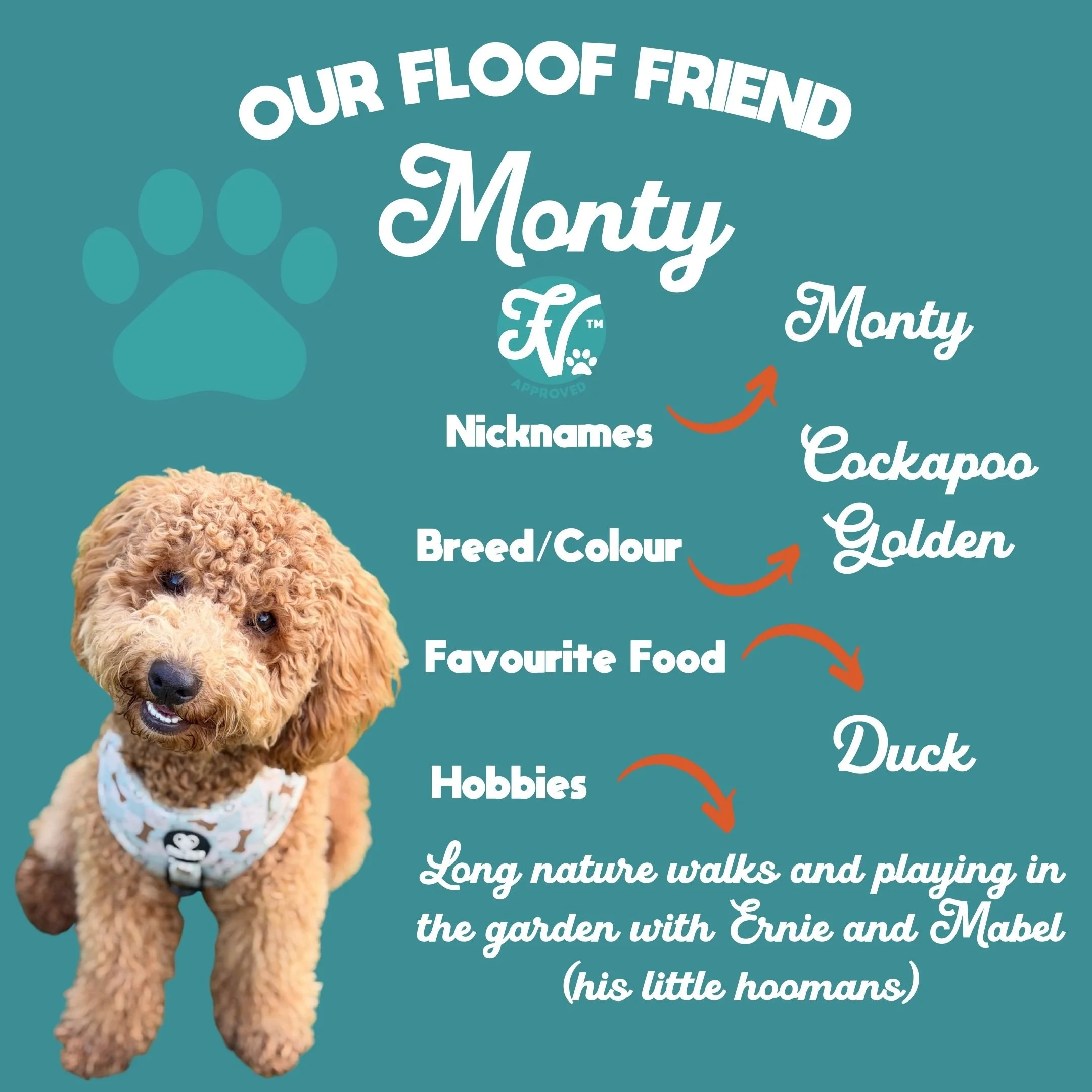 New Floof Friends.jpg