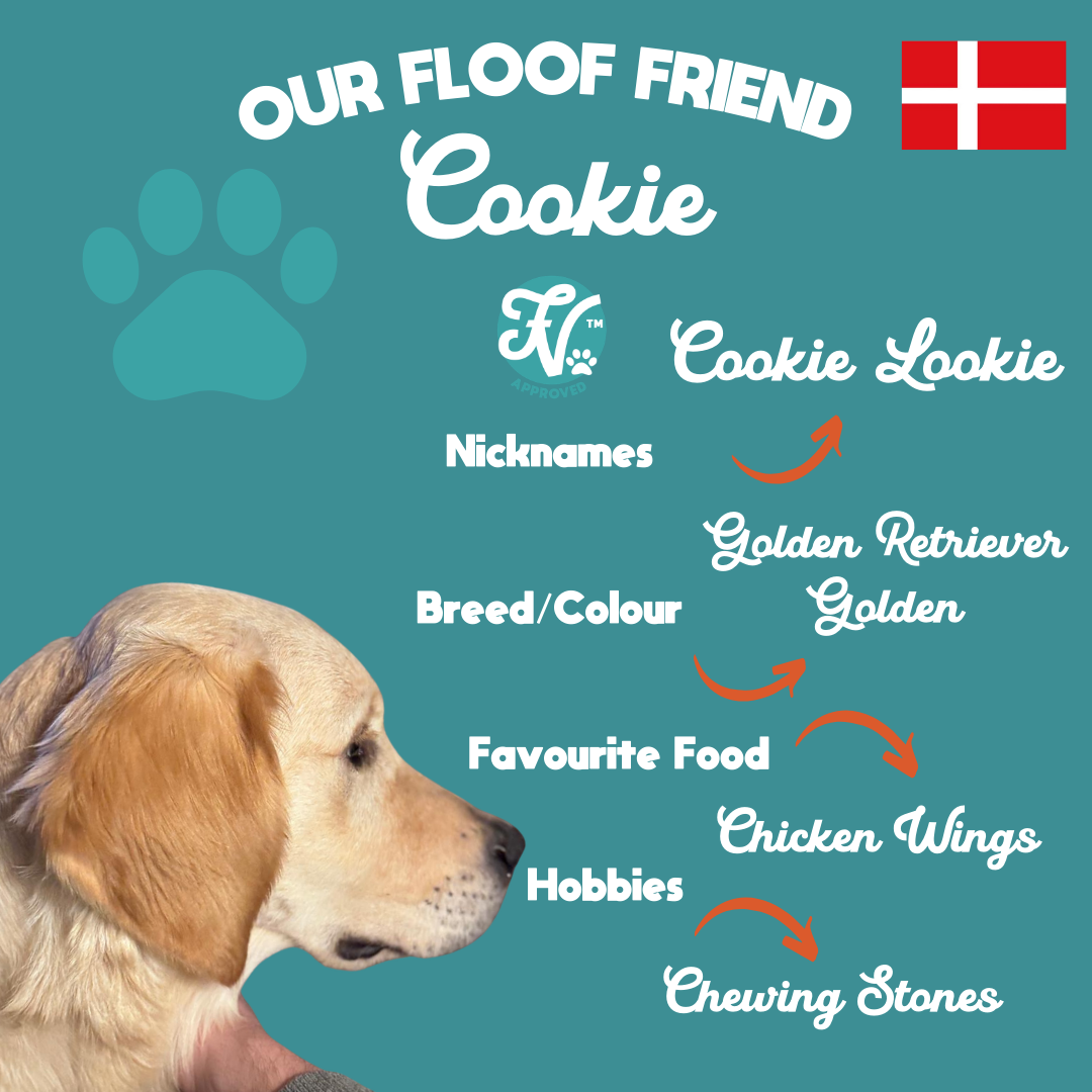 New Floof Friends 2 - 4.PNG