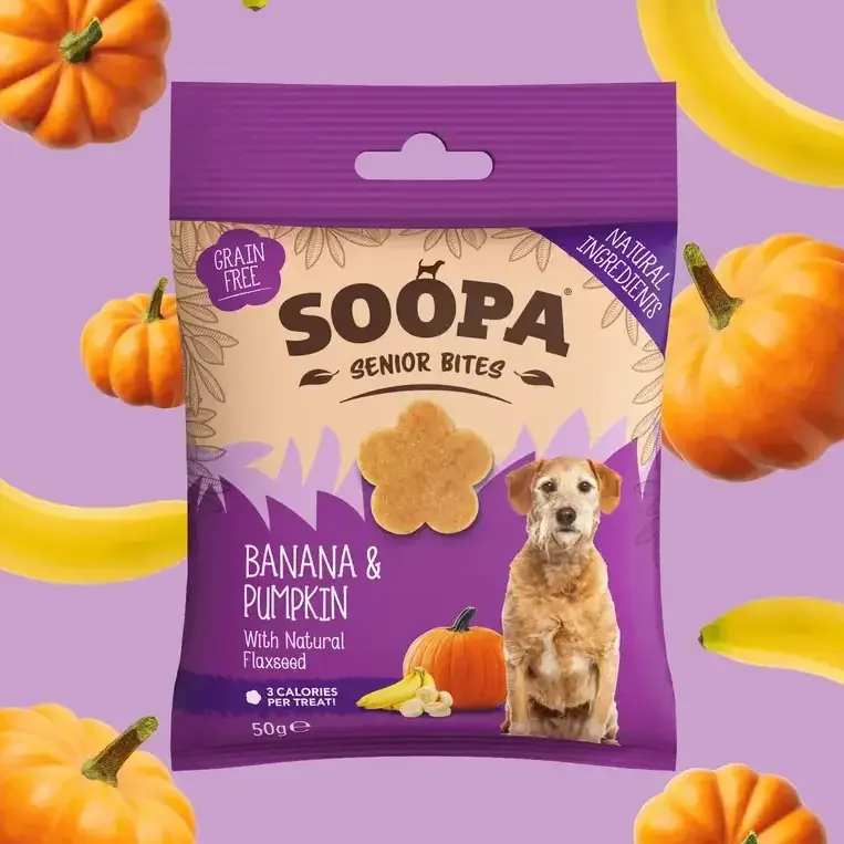 Banana & Pumpkin Senior Healthy Bites